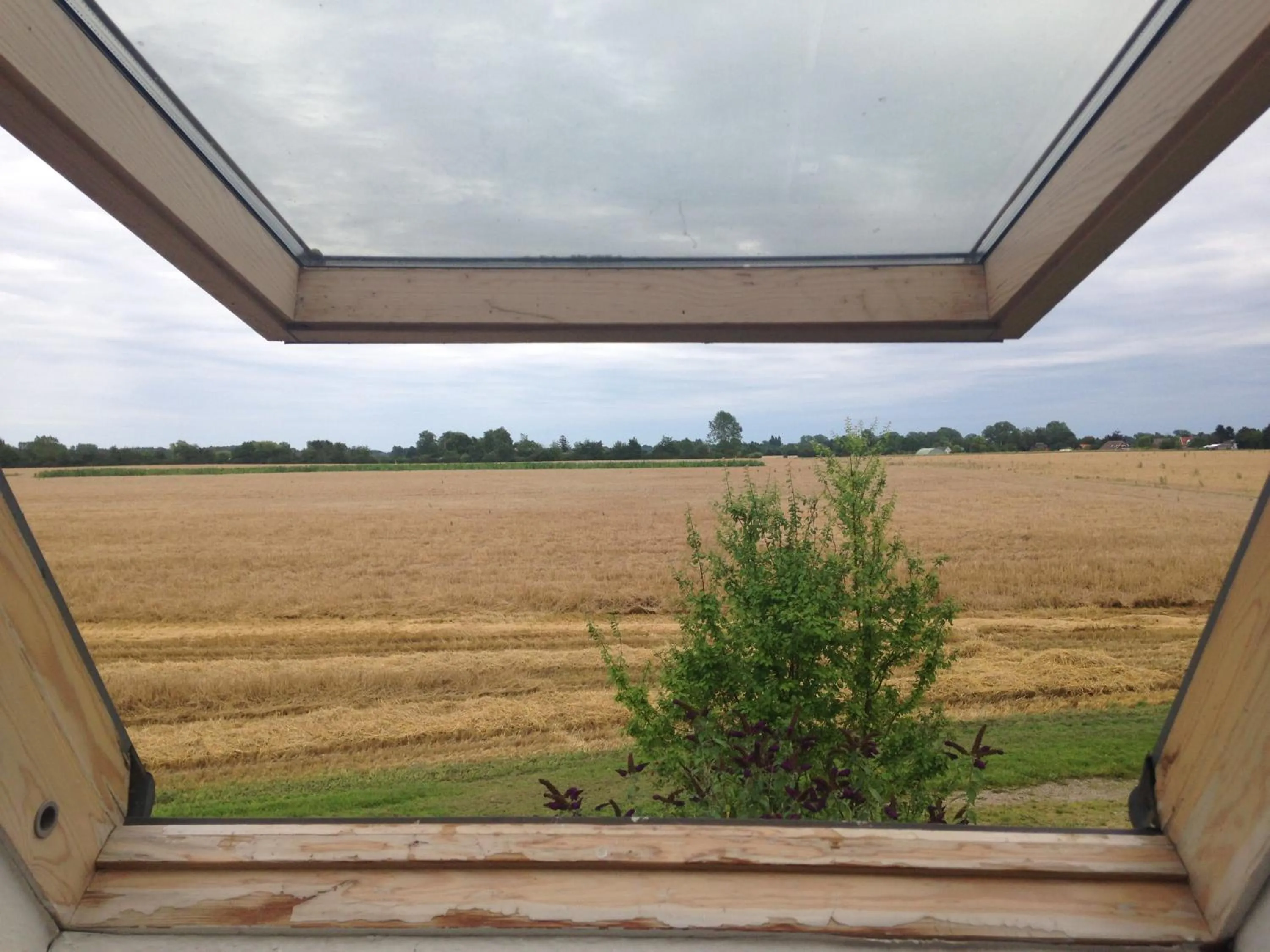 View (from property/room) in Præstøgaard