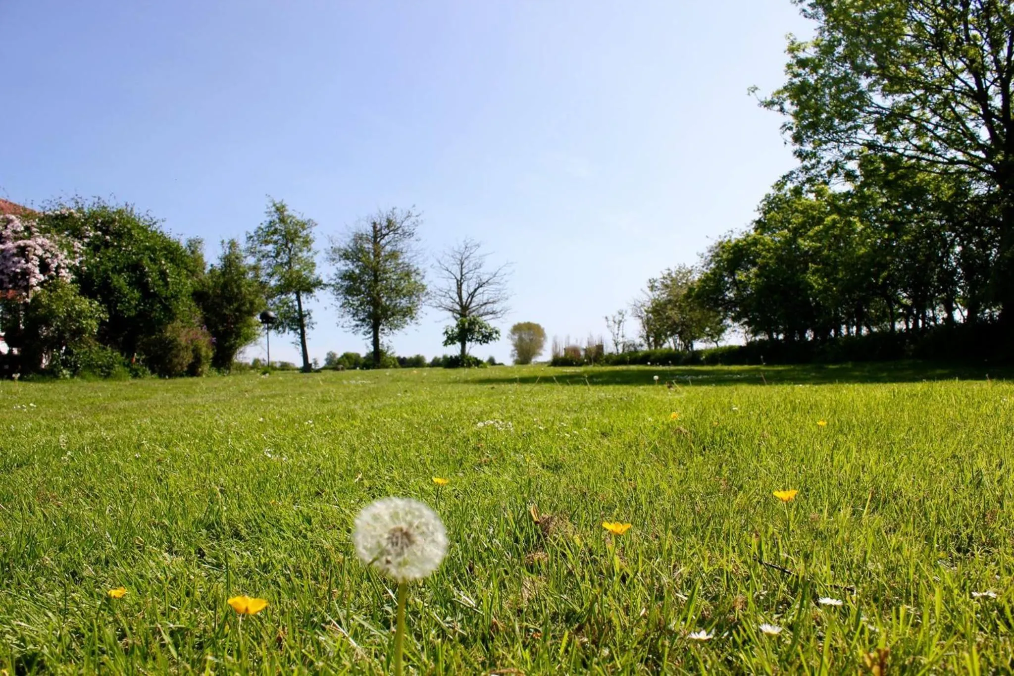 Summer in Præstøgaard