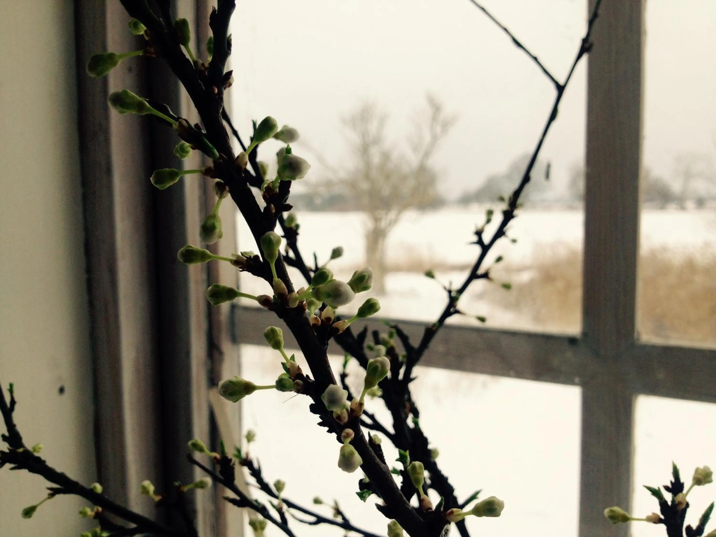 Garden view in Præstøgaard