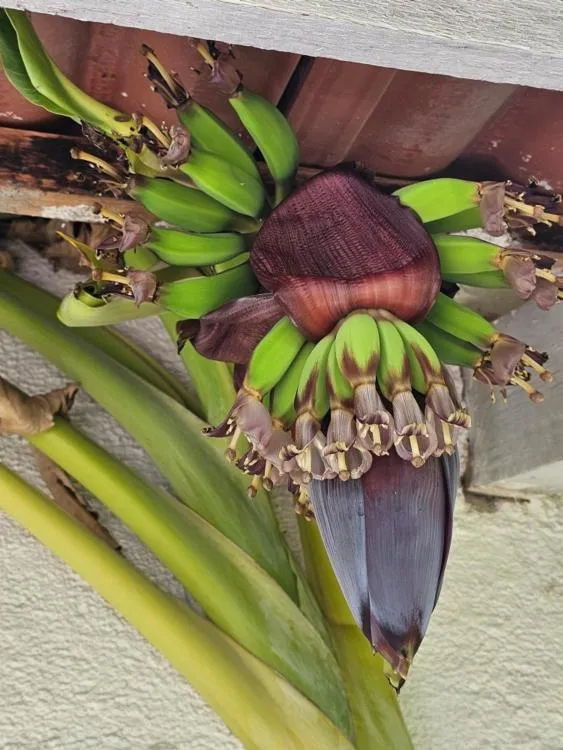 Day in Palmyra Studios