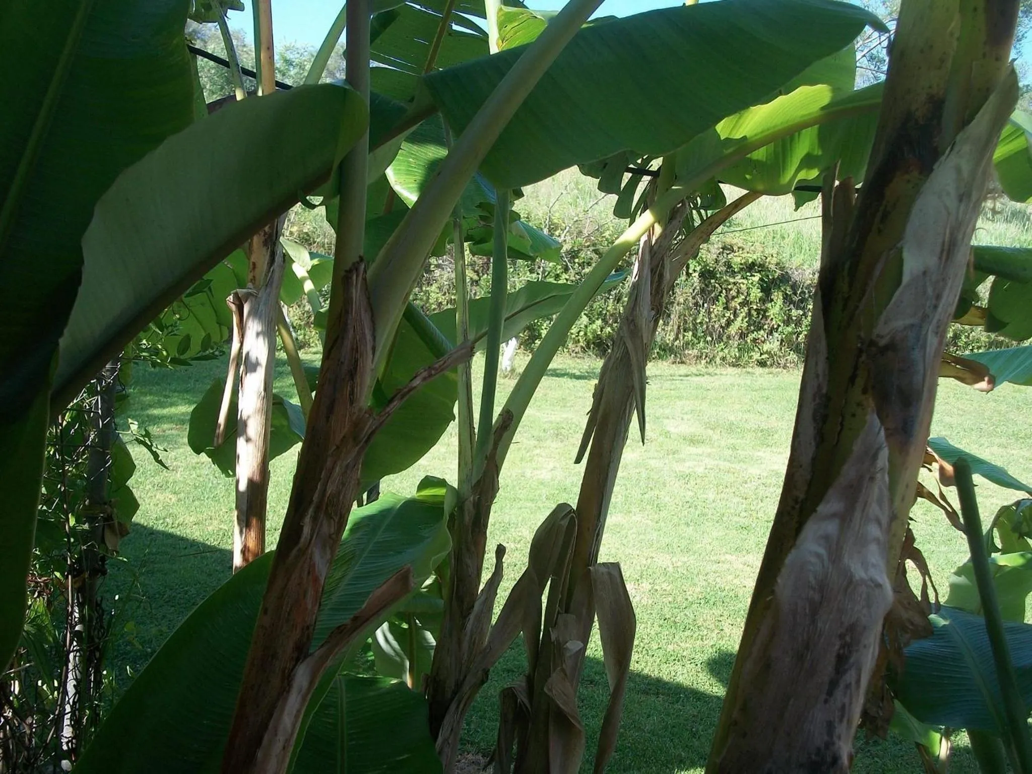 Natural landscape in Palmyra Studios
