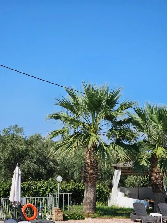 Day in Palmyra Studios