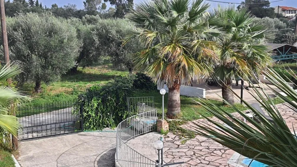 Day in Palmyra Studios