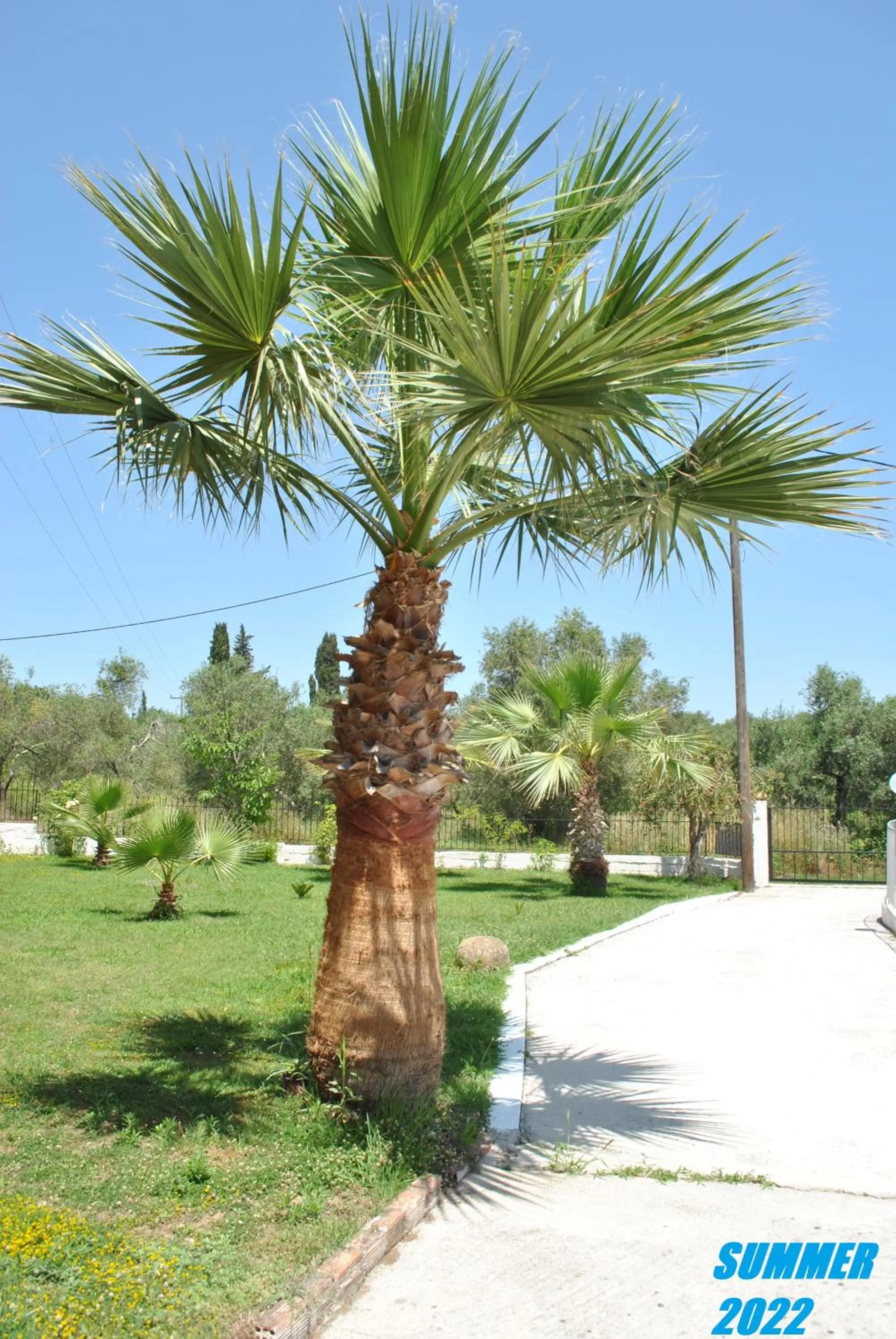 Day in Palmyra Studios