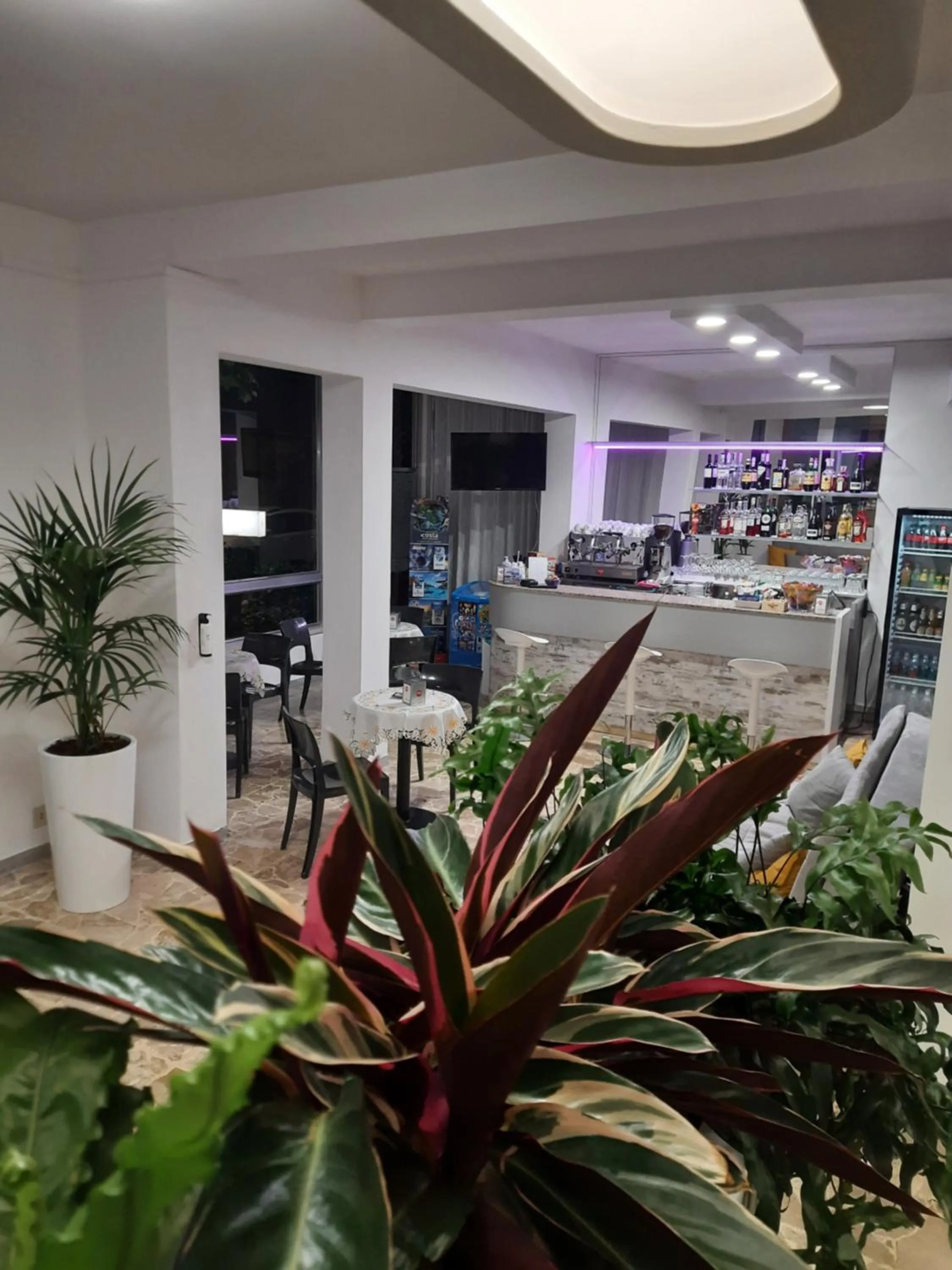 Lobby or reception in Hotel Barbiani