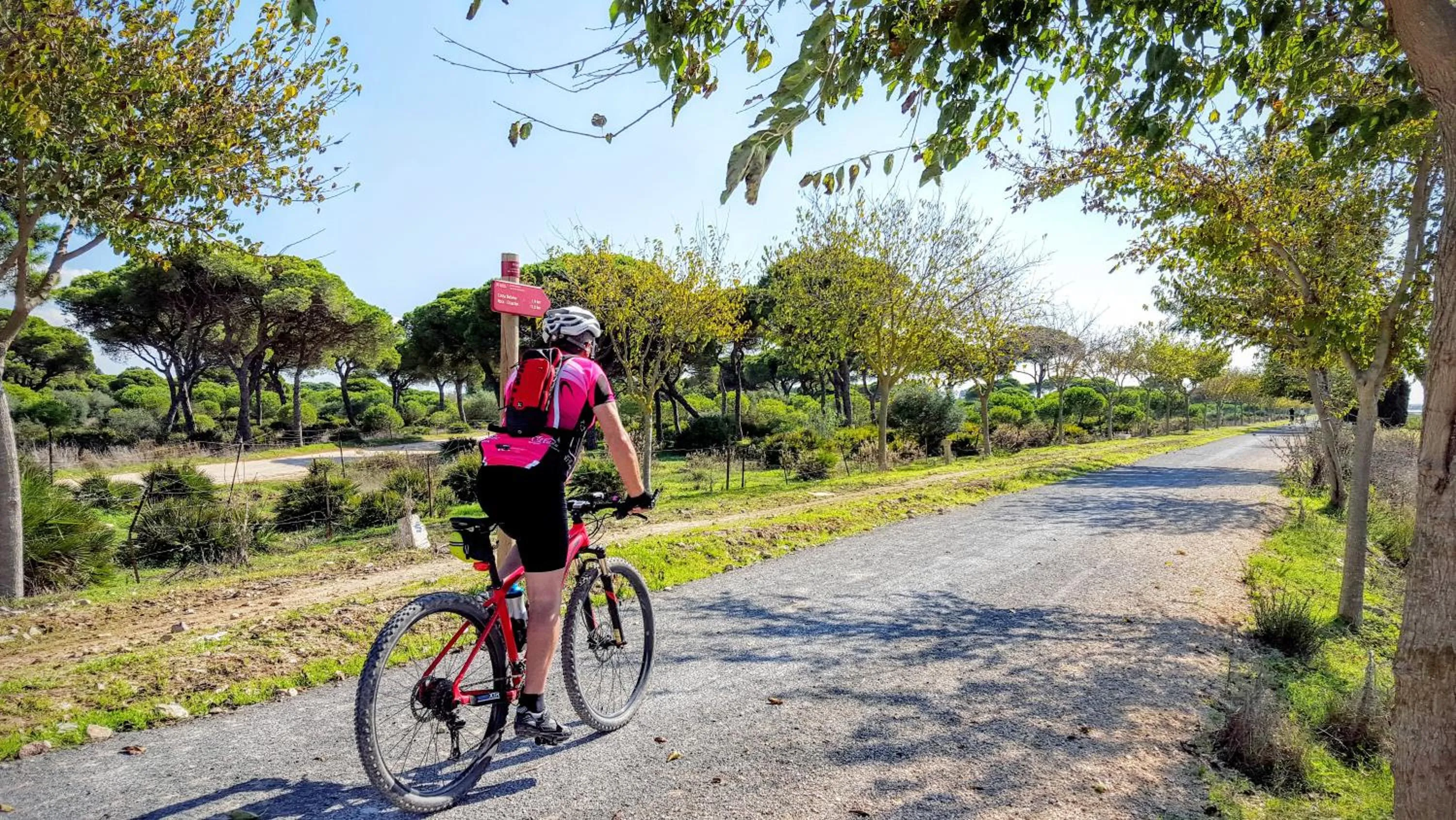 Cycling in Hotel Apartamentos Marina Luz