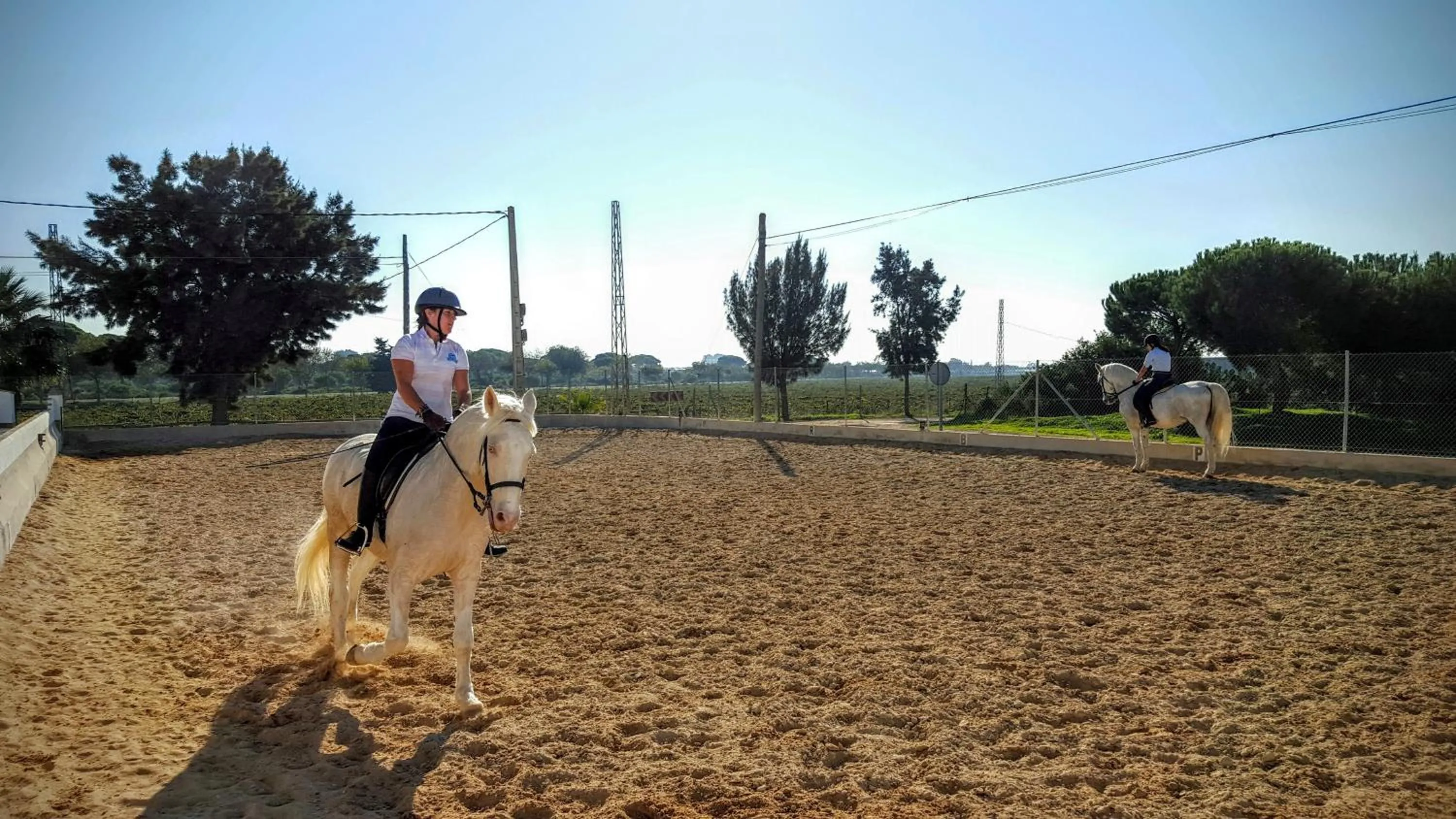 Horse-riding in Hotel Apartamentos Marina Luz