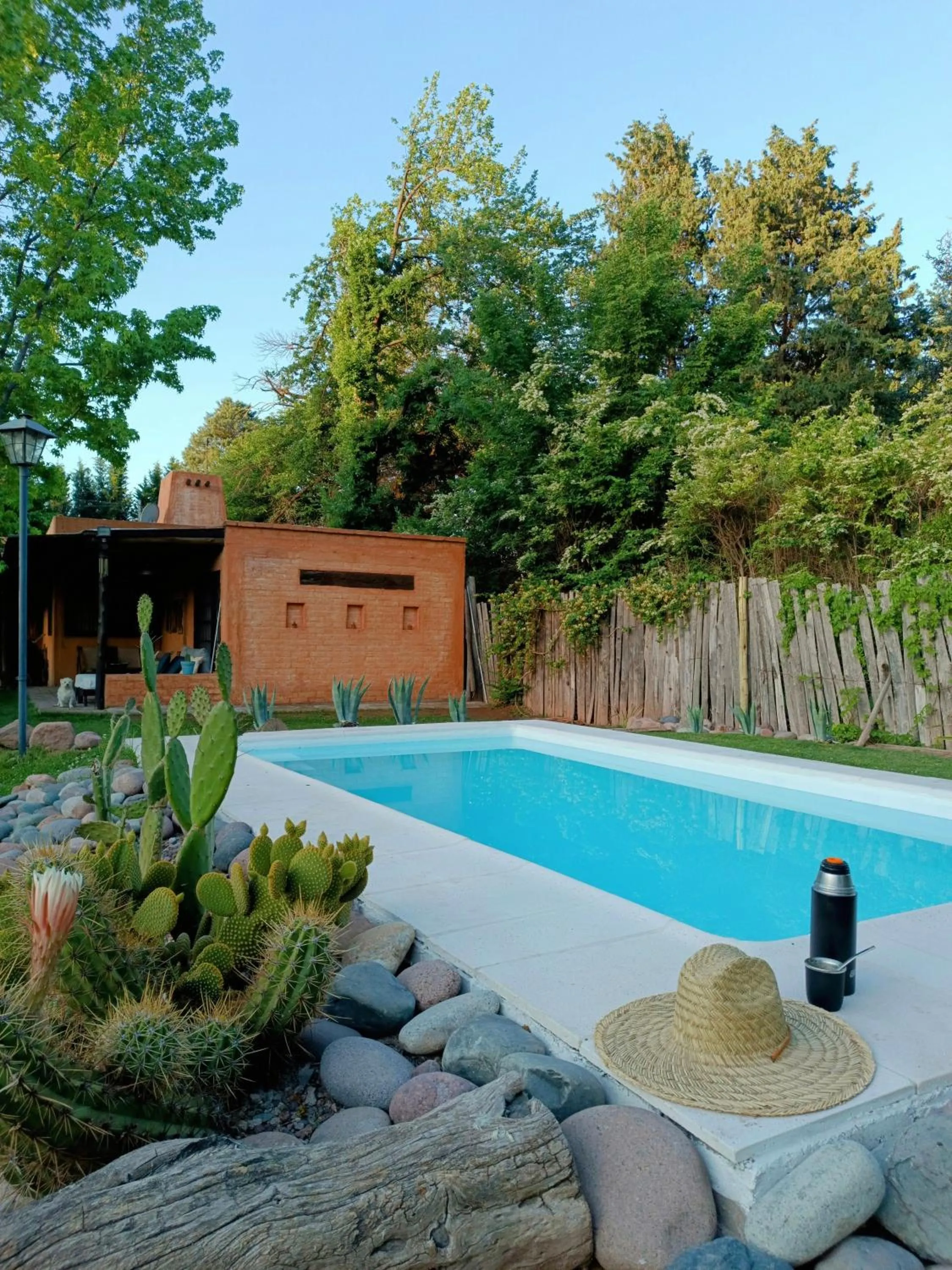 Garden in Casa Darragueira de Chacras de Coria