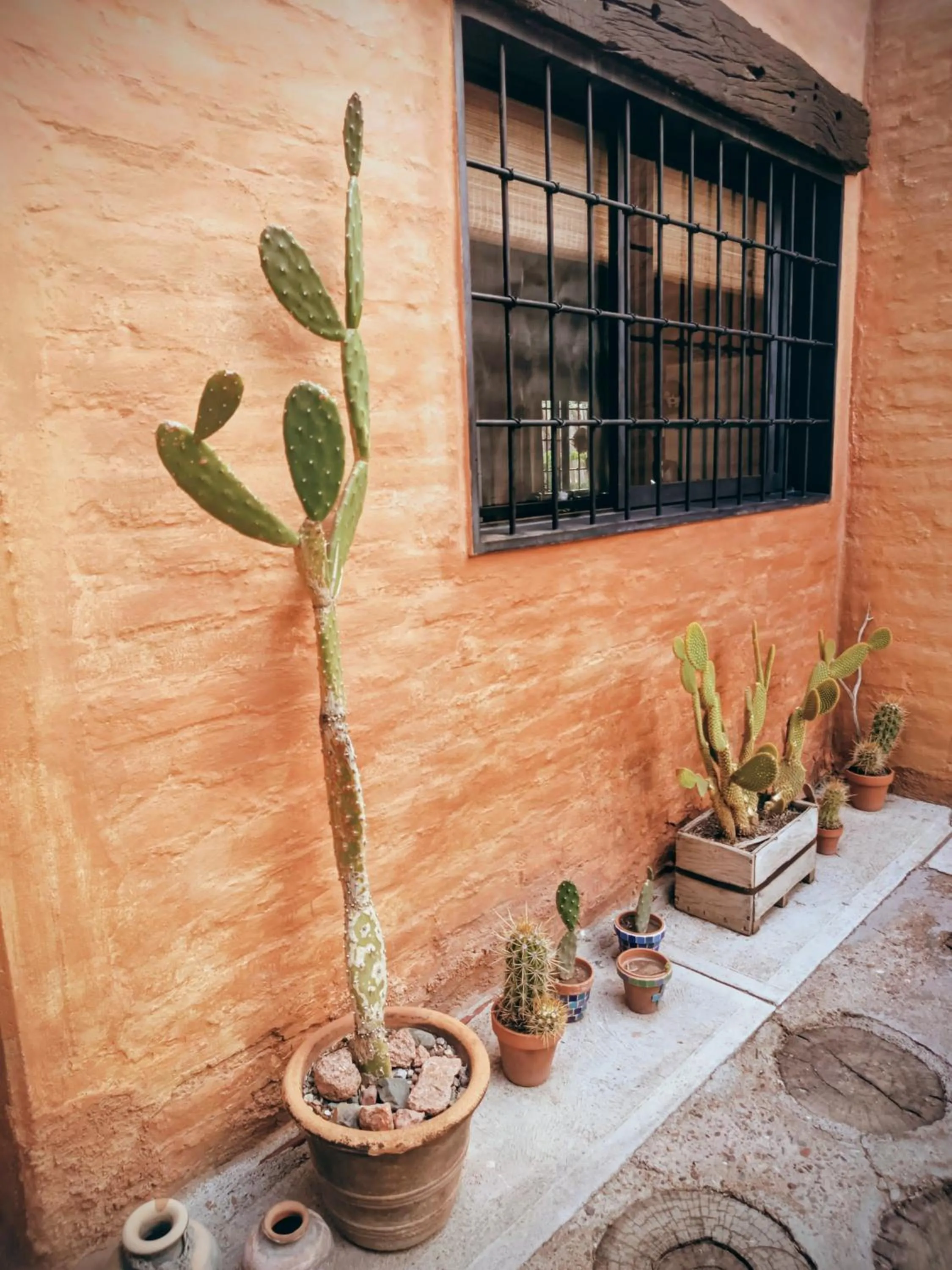 Property building in Casa Darragueira de Chacras de Coria