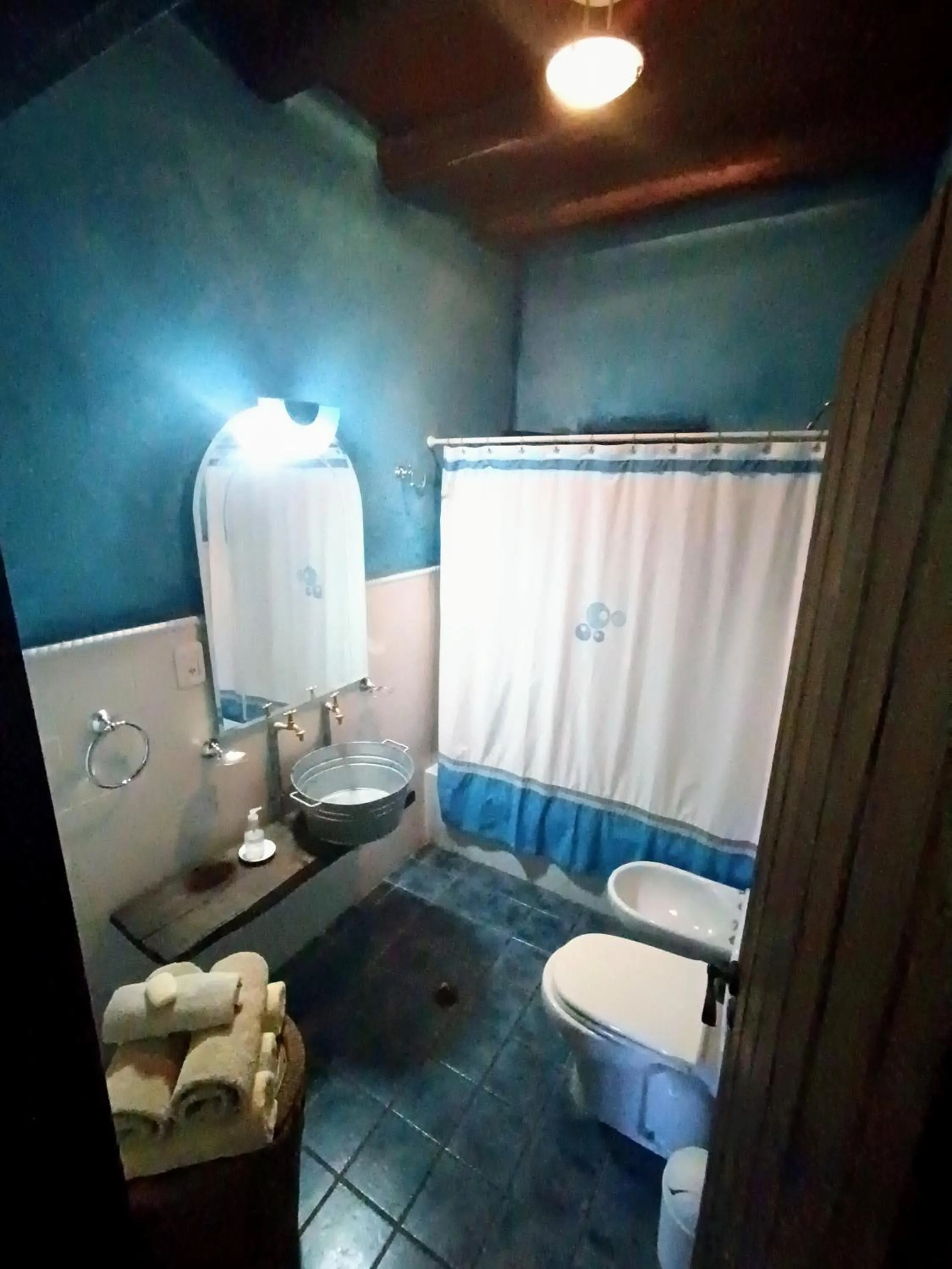 Toilet in Casa Darragueira de Chacras de Coria