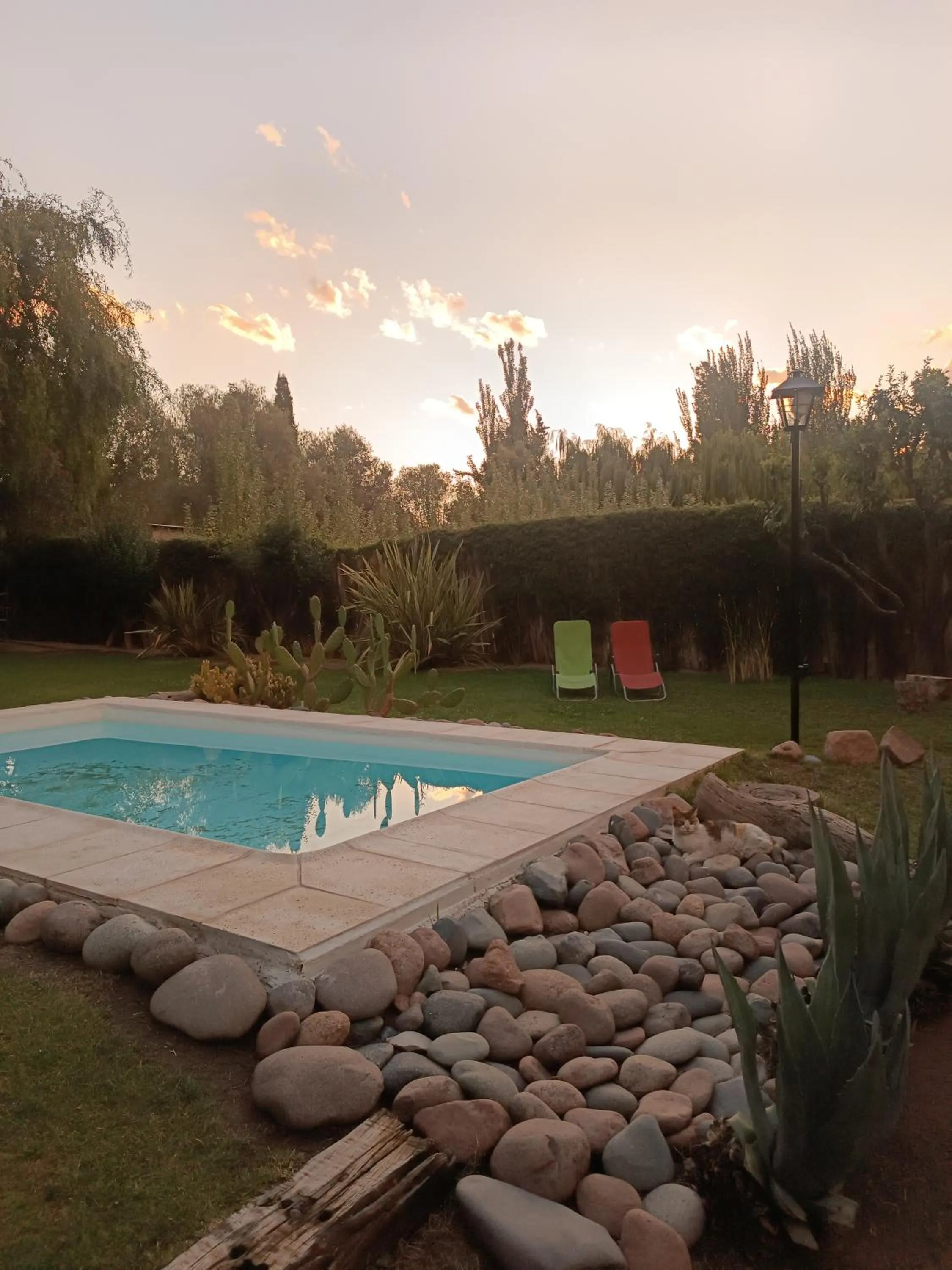 Natural landscape in Casa Darragueira de Chacras de Coria