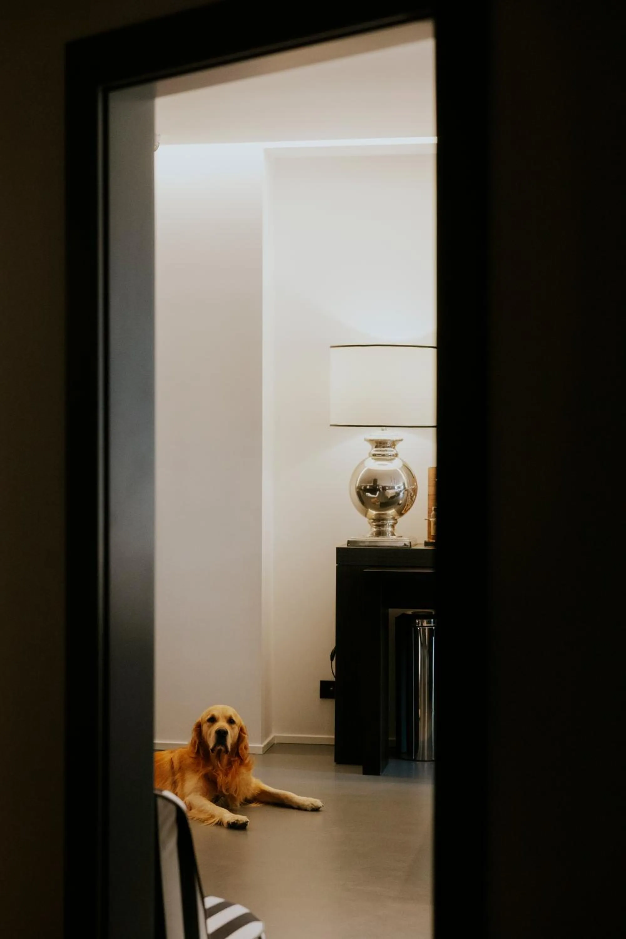 Decorative detail in Le Mummarelle