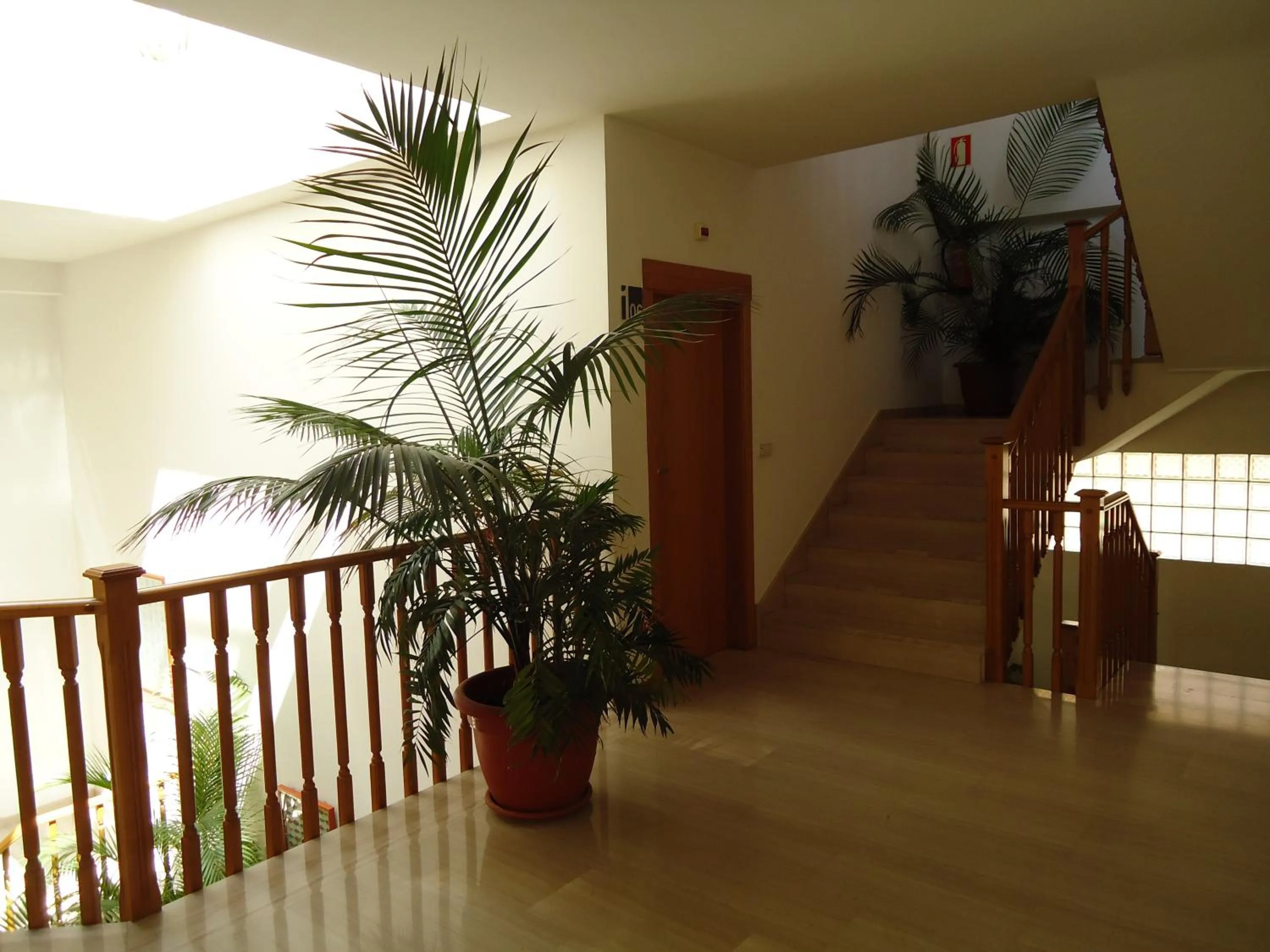 Decorative detail in Hotel Mar Menor