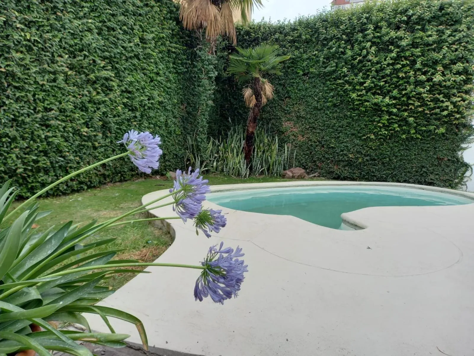 Garden in Hotel Del Virrey