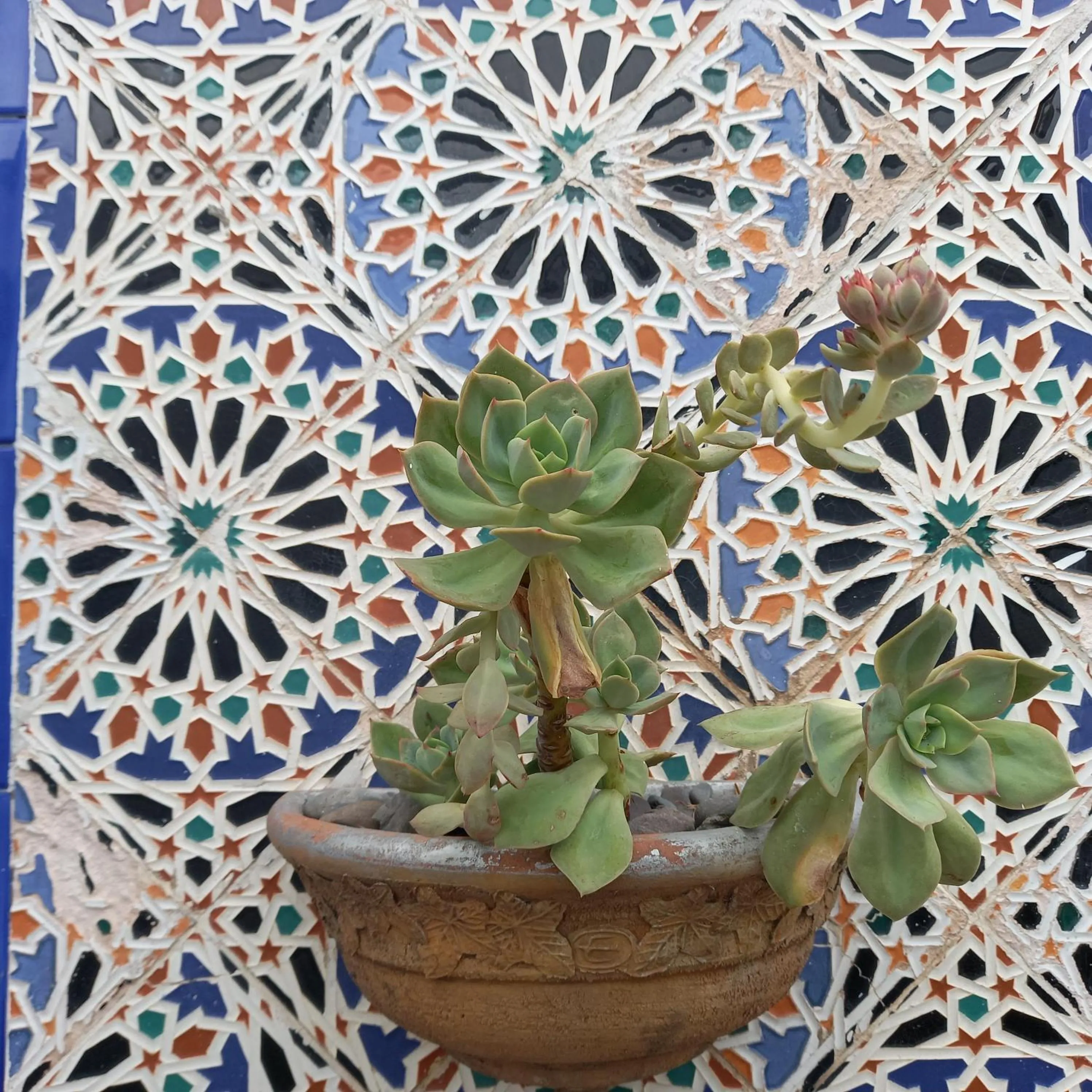 Decorative detail in Hotel Del Virrey