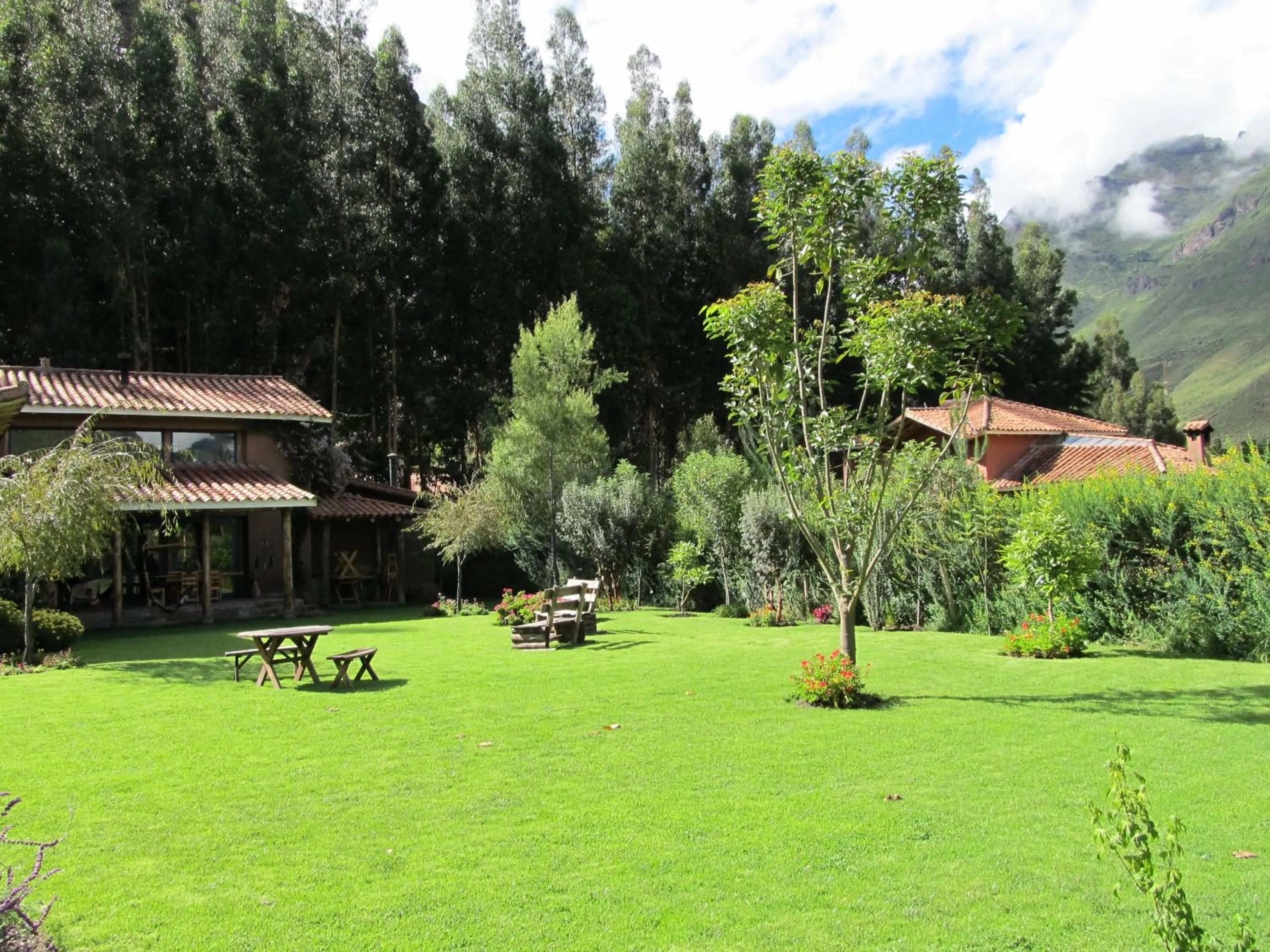 Garden in Melissa Wasi