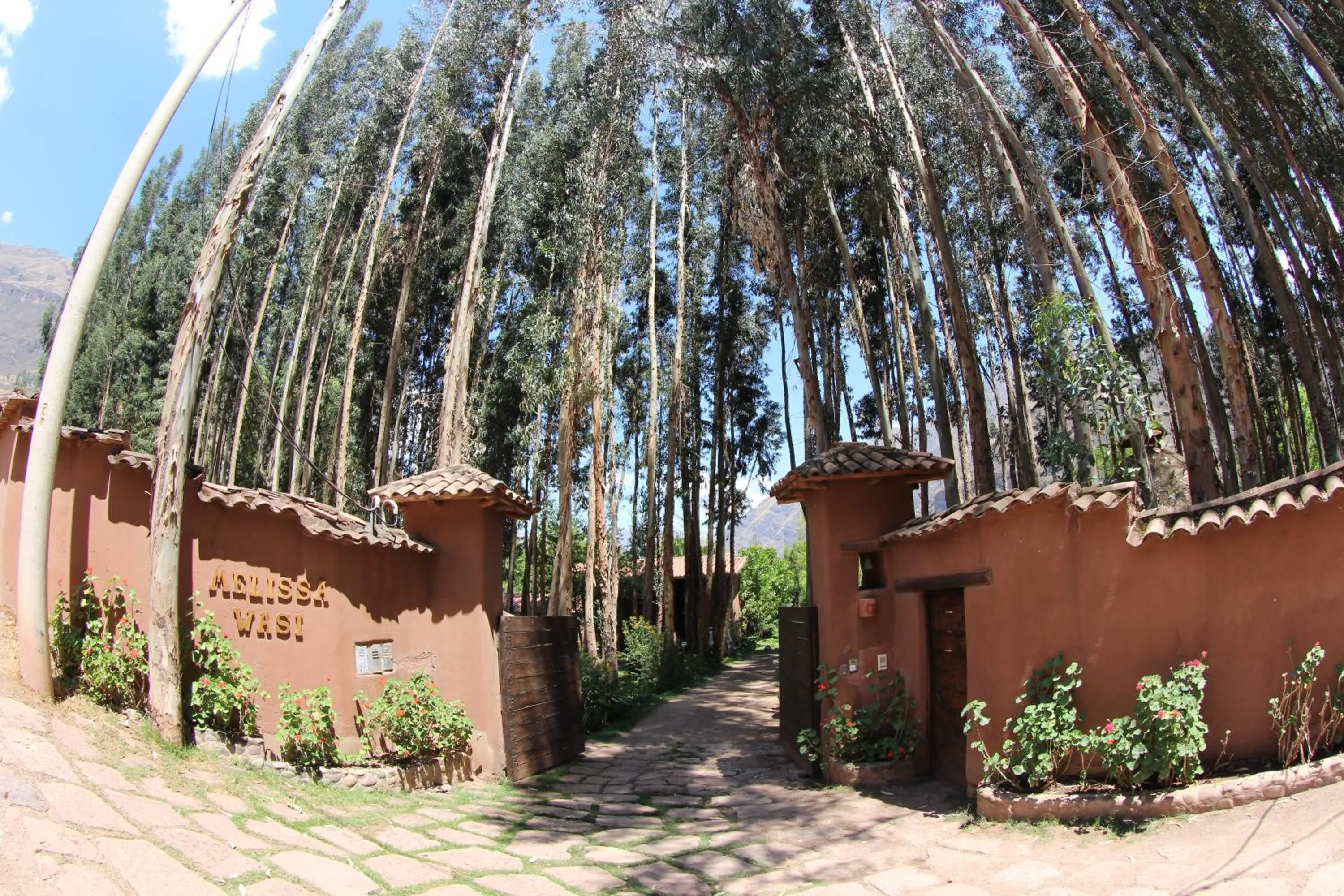 Facade/entrance in Melissa Wasi