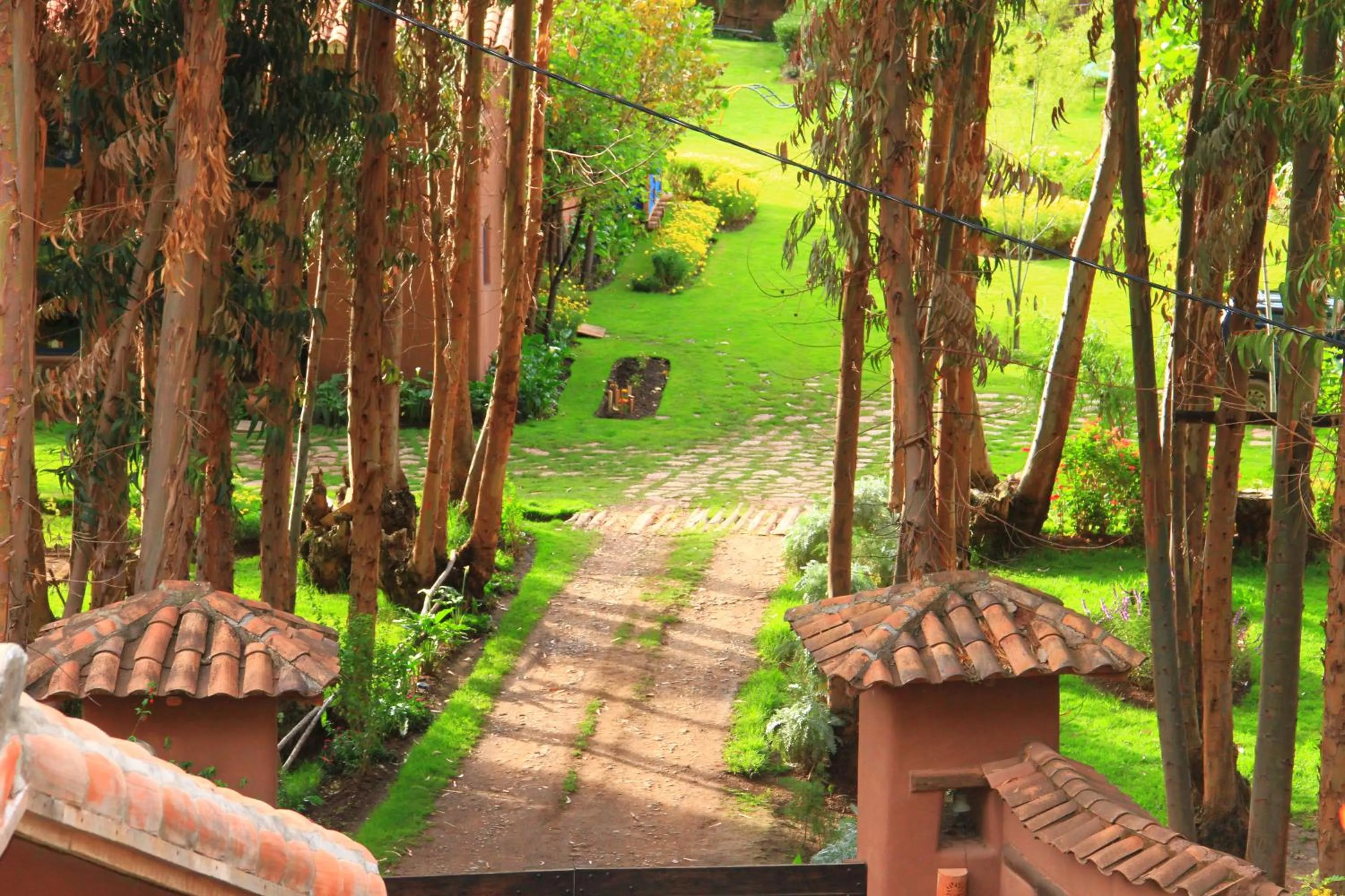 Garden in Melissa Wasi