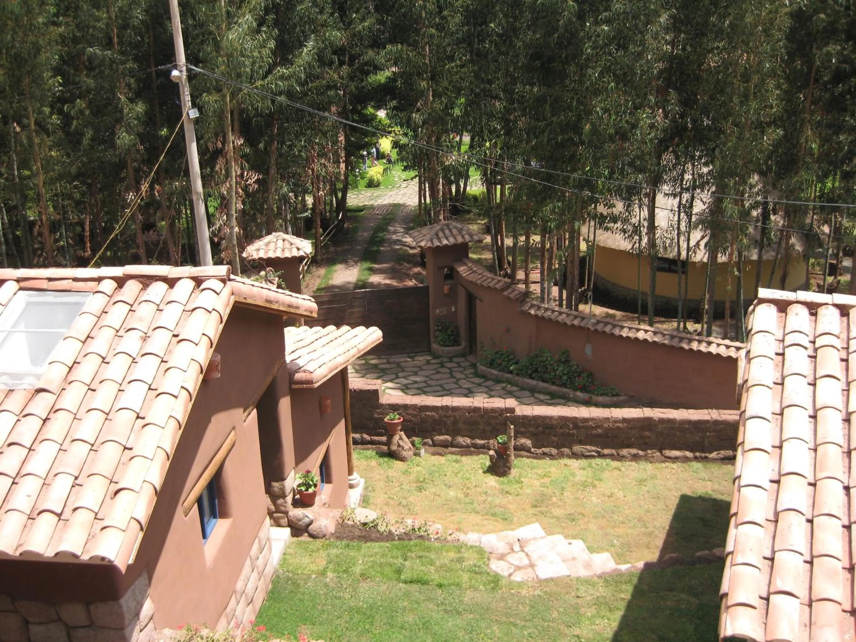 Garden in Melissa Wasi