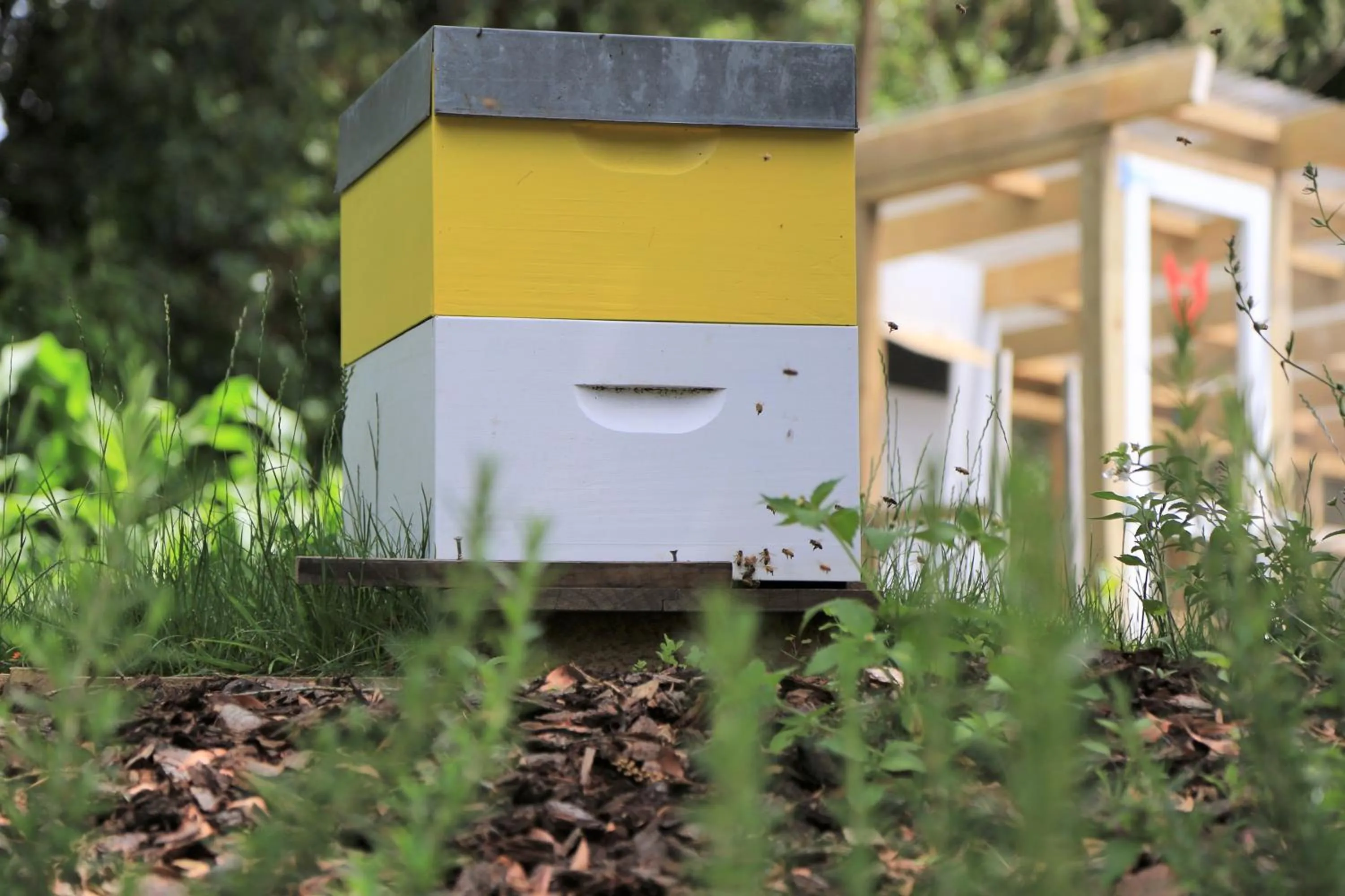 Garden view in Brecon Pond Bed & Breakfast