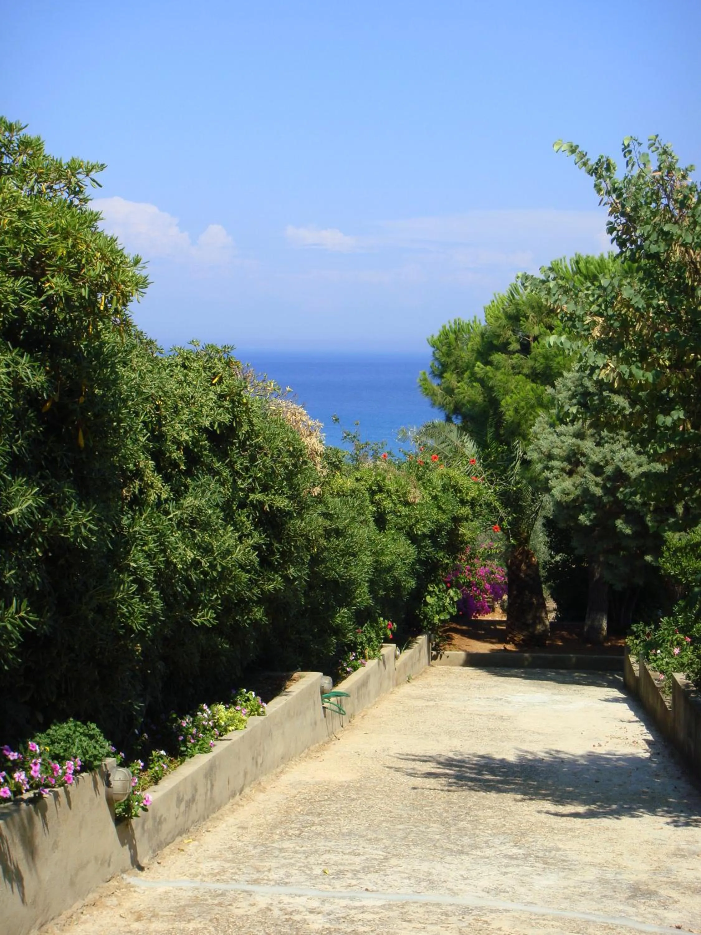 Garden view in Villa Eliza