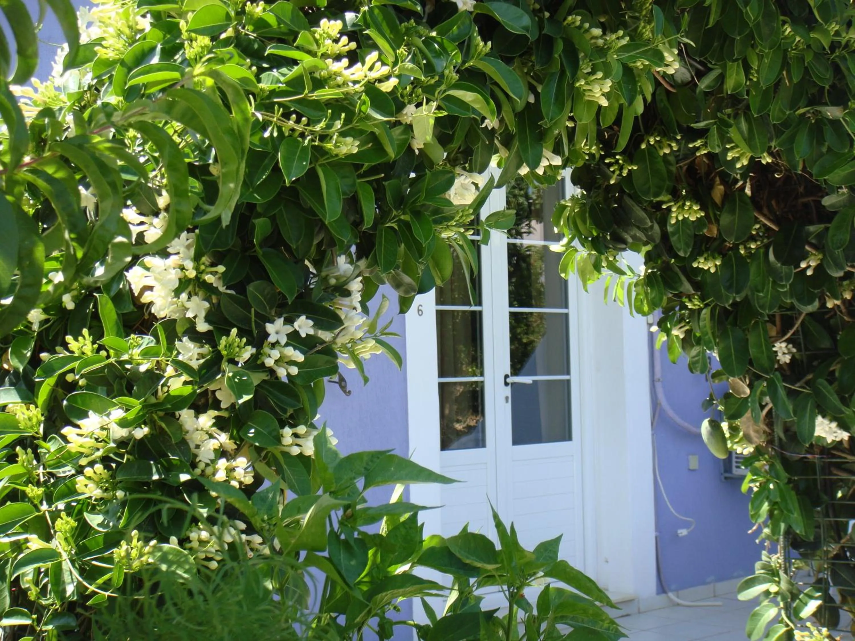Facade/entrance in Villa Eliza