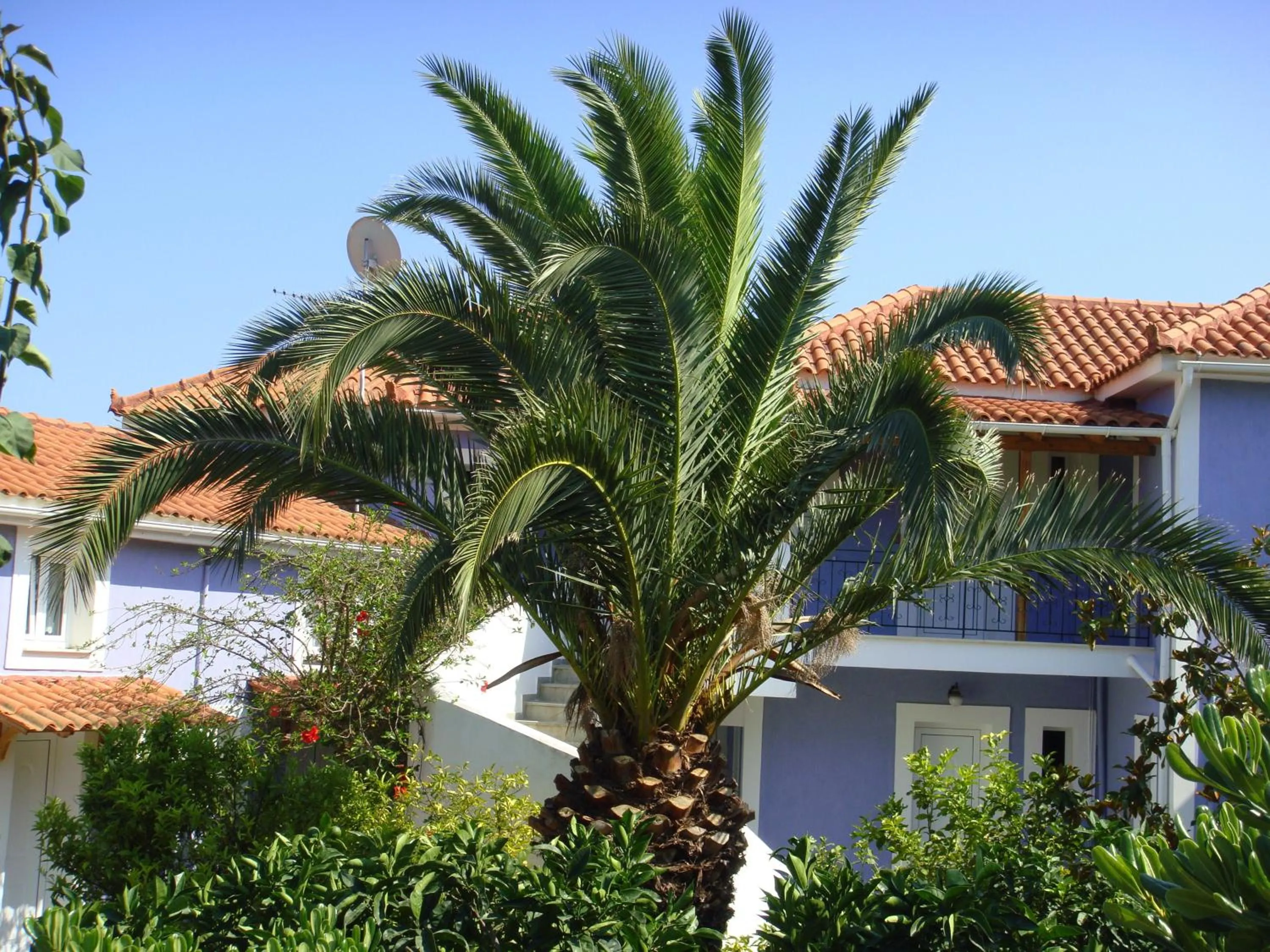 Facade/entrance in Villa Eliza