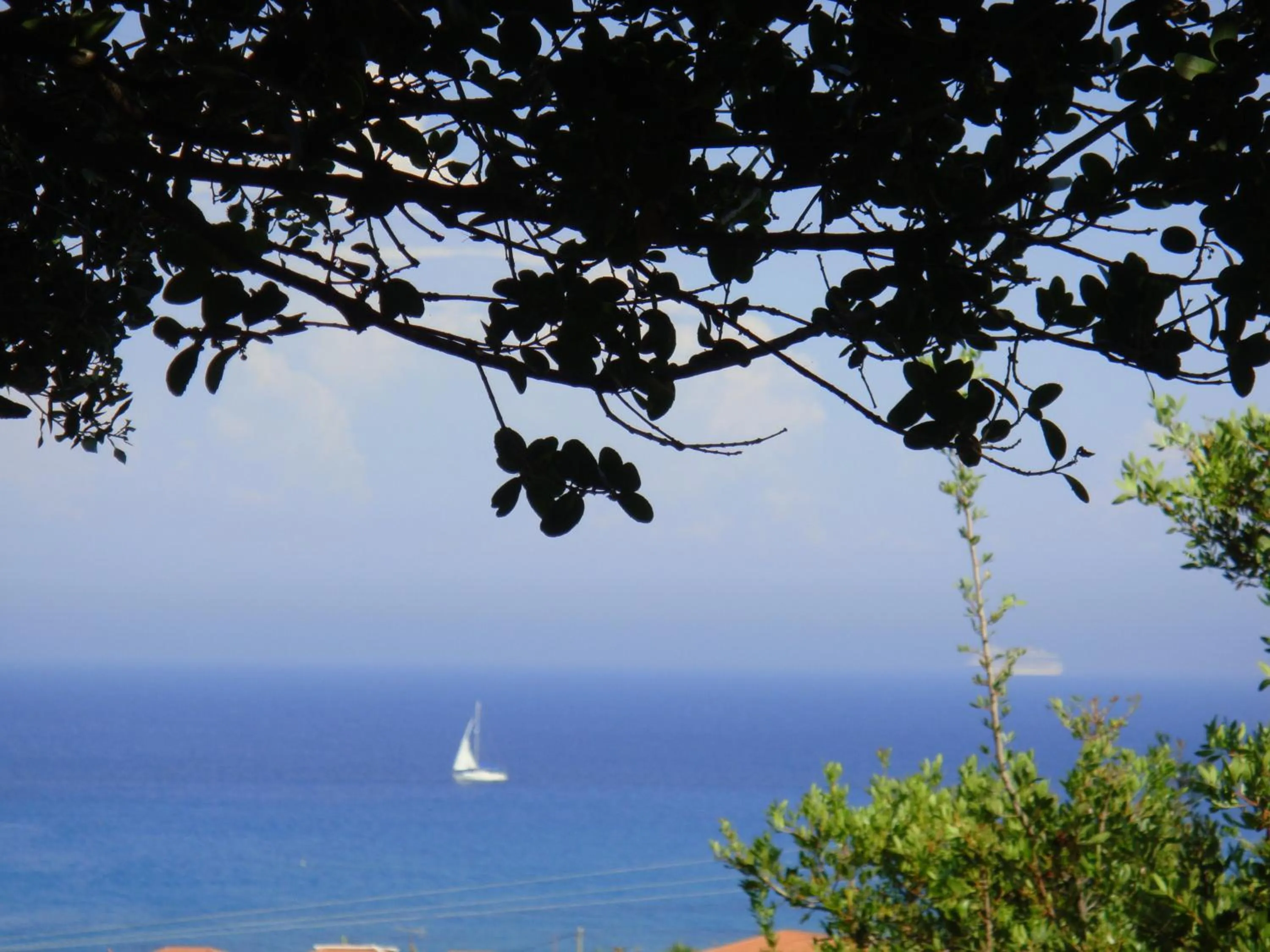 Decorative detail in Villa Eliza