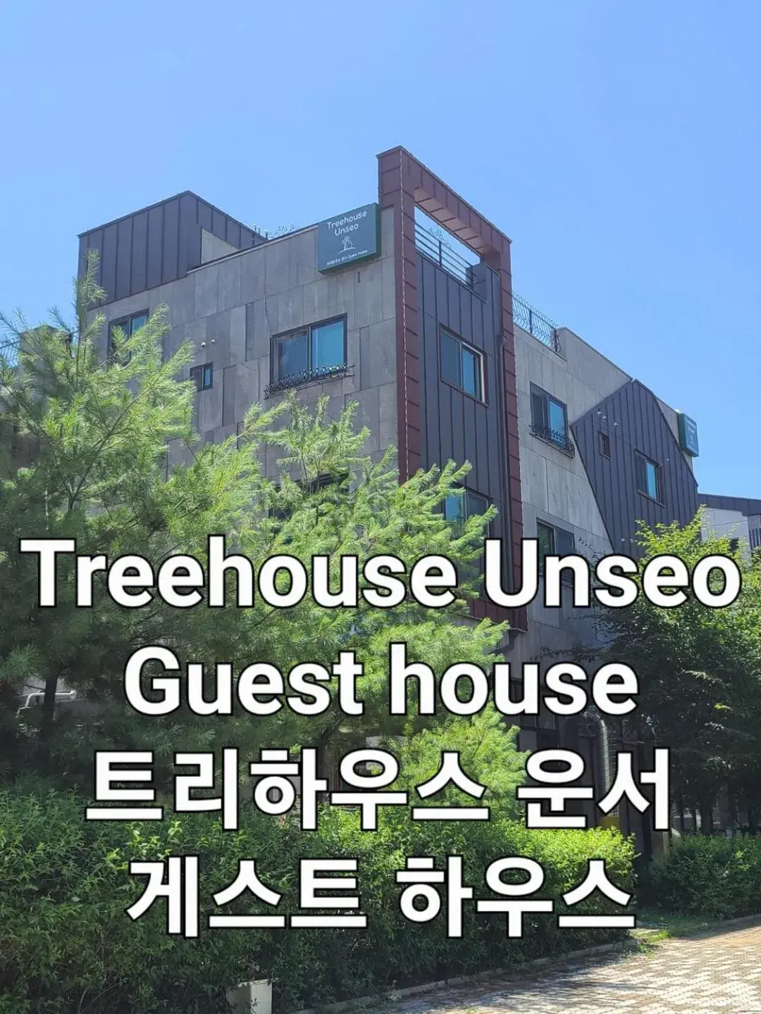 TreehouseUnseo GuestHouse TreehouseUnseo GuestHouse