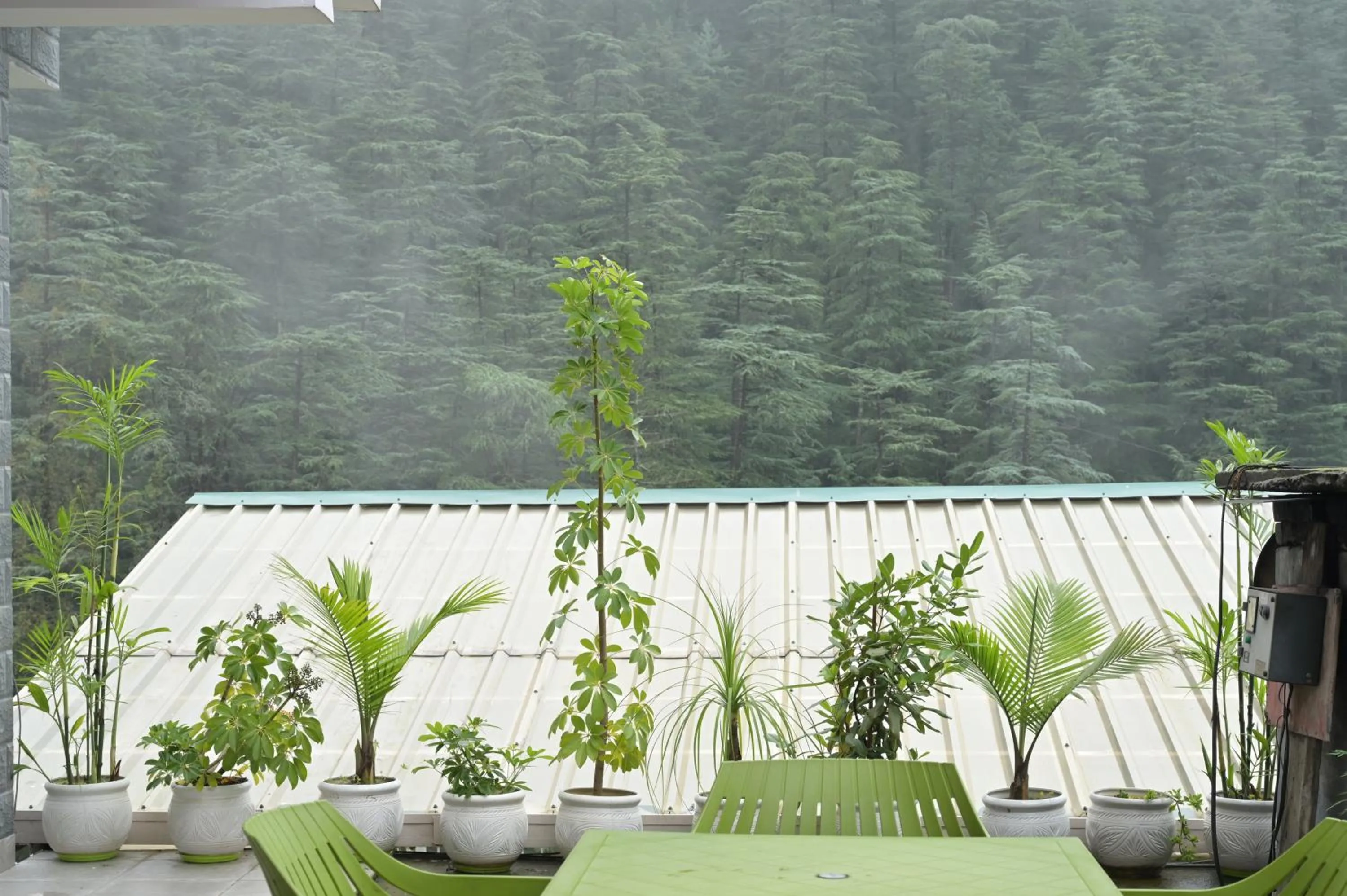 Neha Homestay