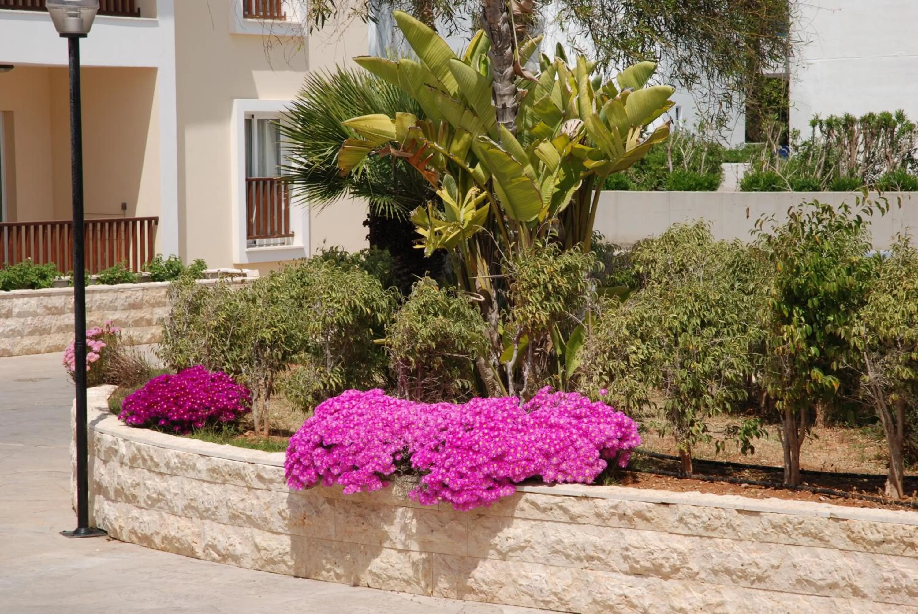 Natural landscape in Aktea Beach Village