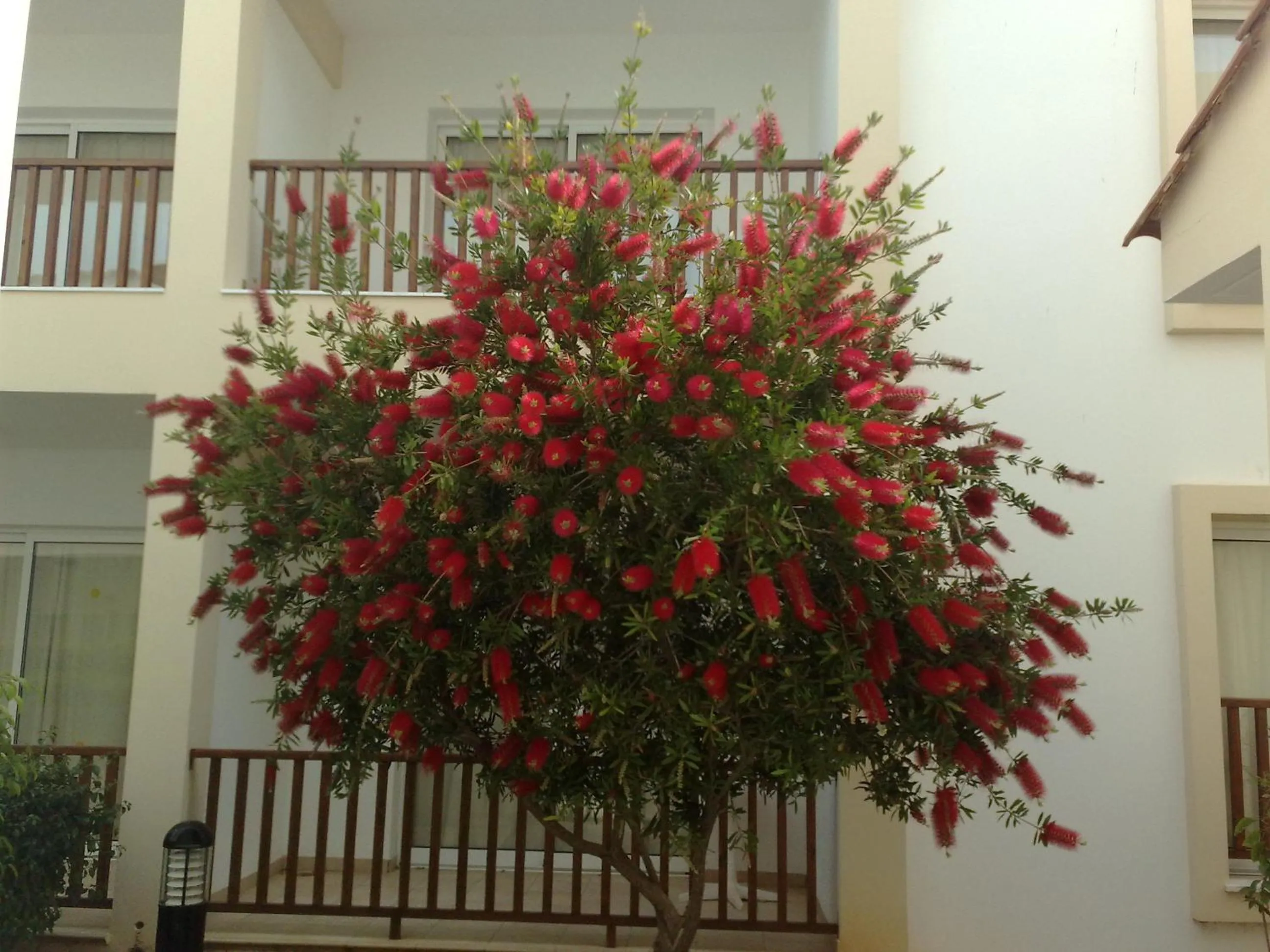 Facade/entrance in Aktea Beach Village