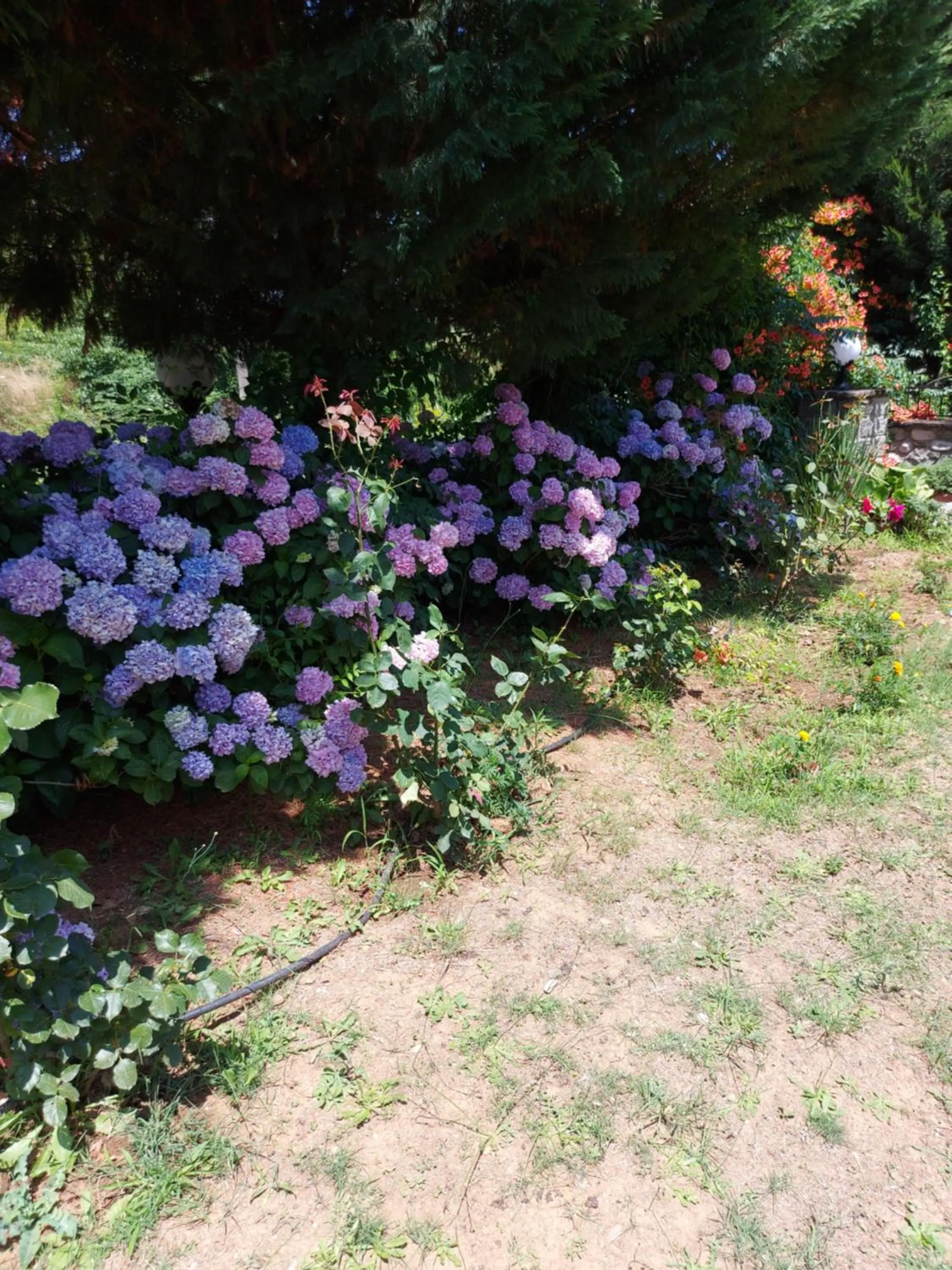 Property building in Hotel Spiridoula