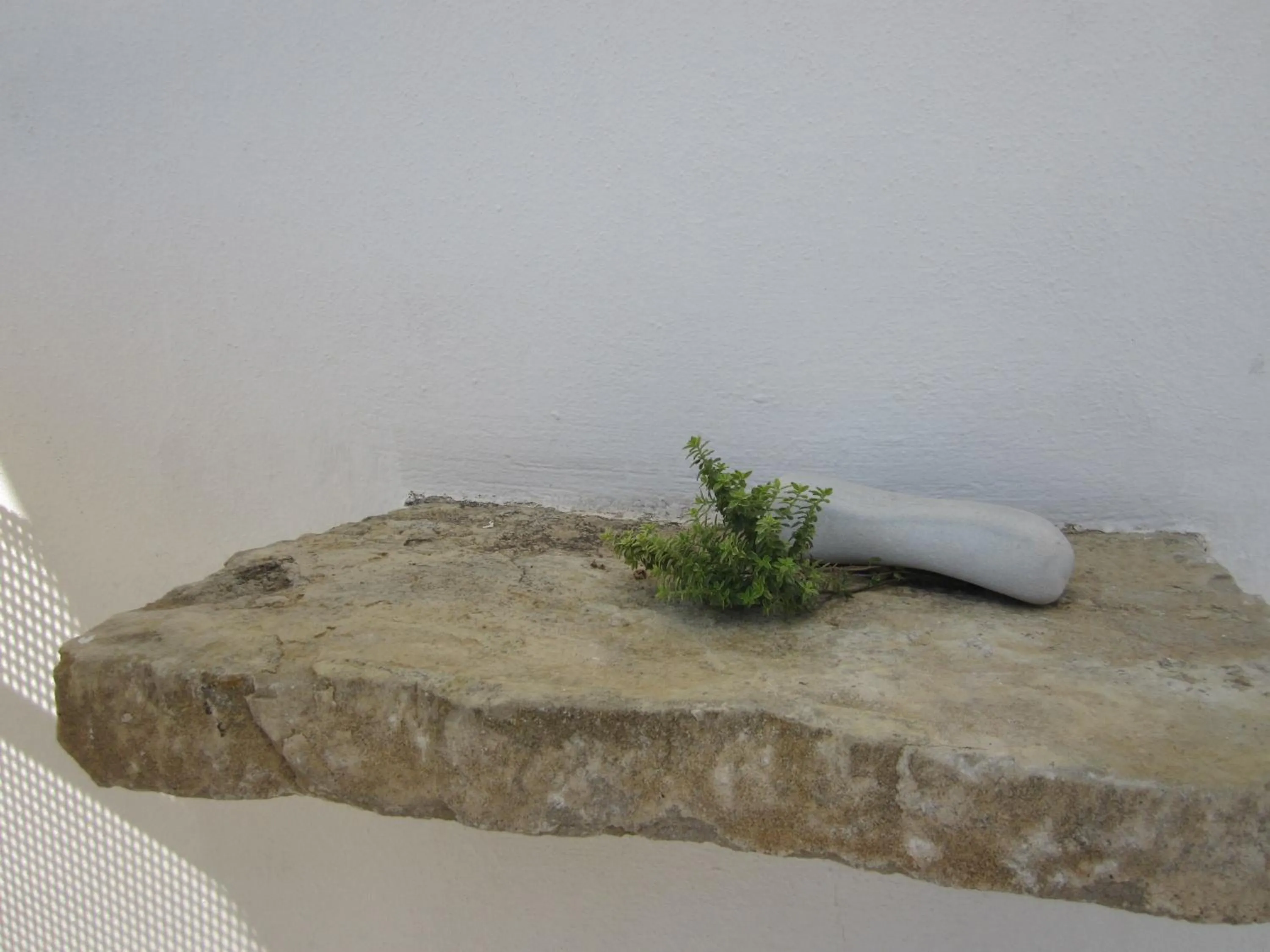 Decorative detail in Scorpios Hotel & Suites