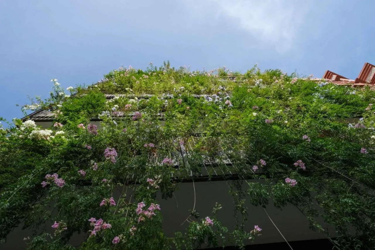 Natural landscape in M Appart