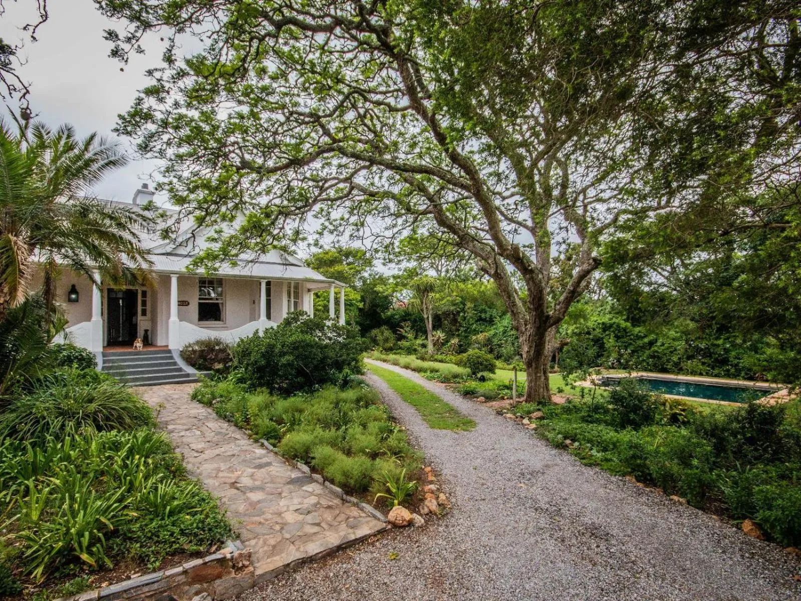 Facade/entrance in Mimosa