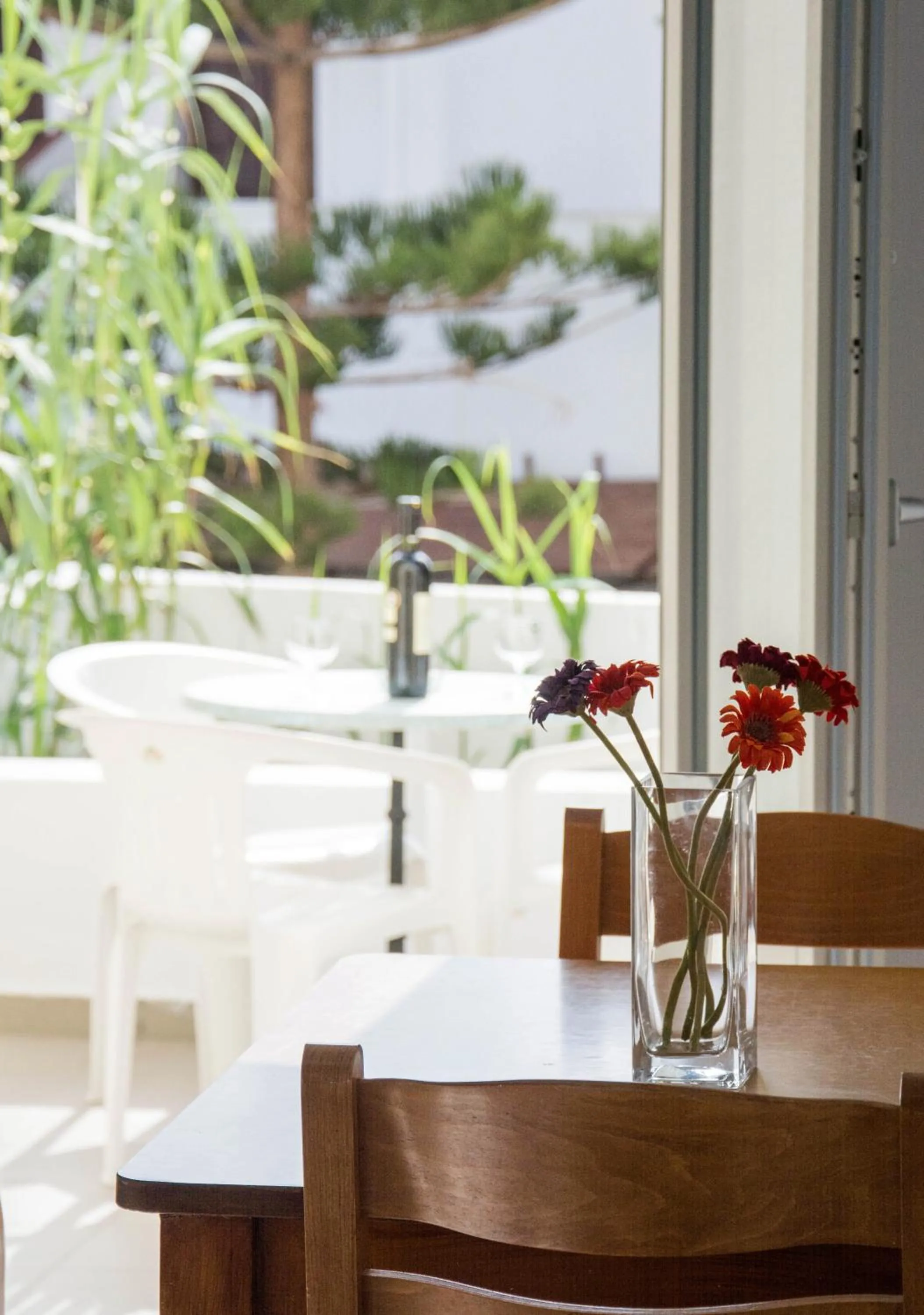 Day in Sail Inn Studios & Apartments