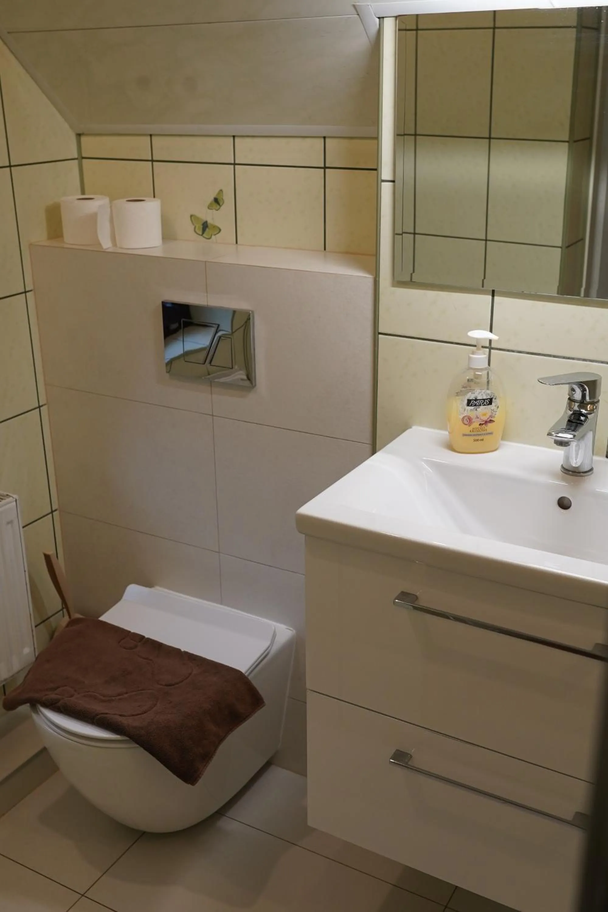 Bathroom in Willa Wisełka