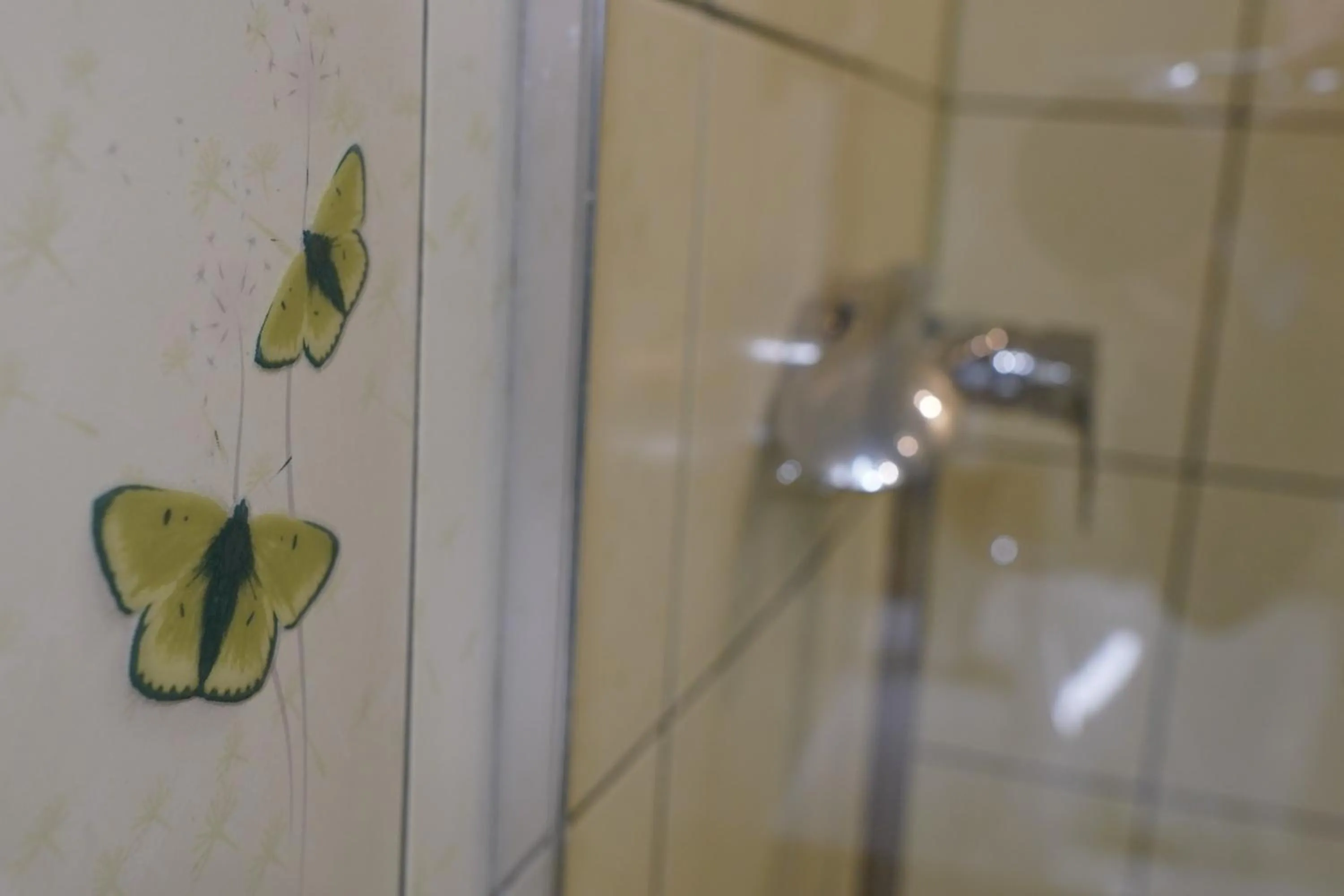 Shower in Willa Wisełka