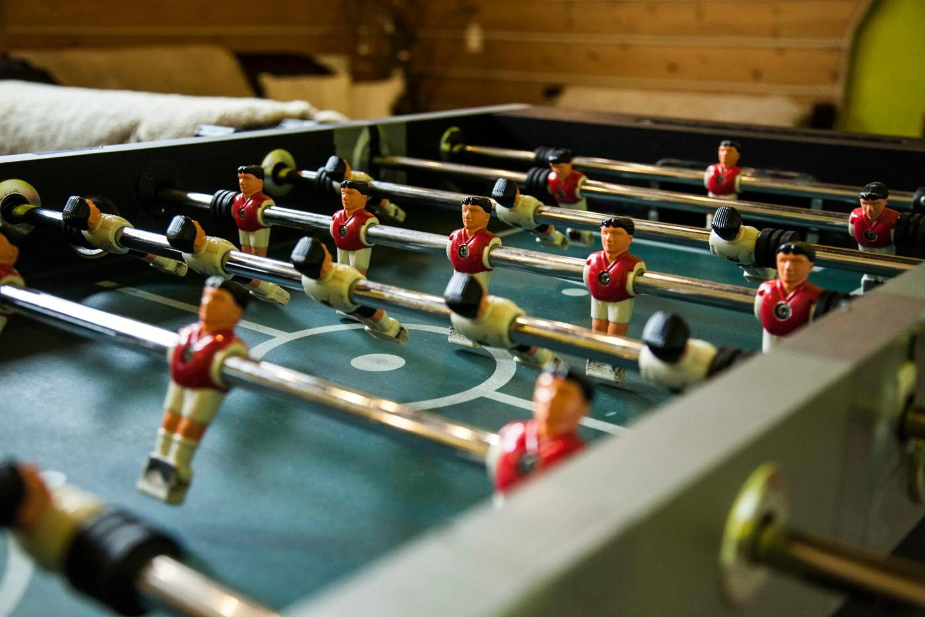 Entertainment in Willa Wisełka