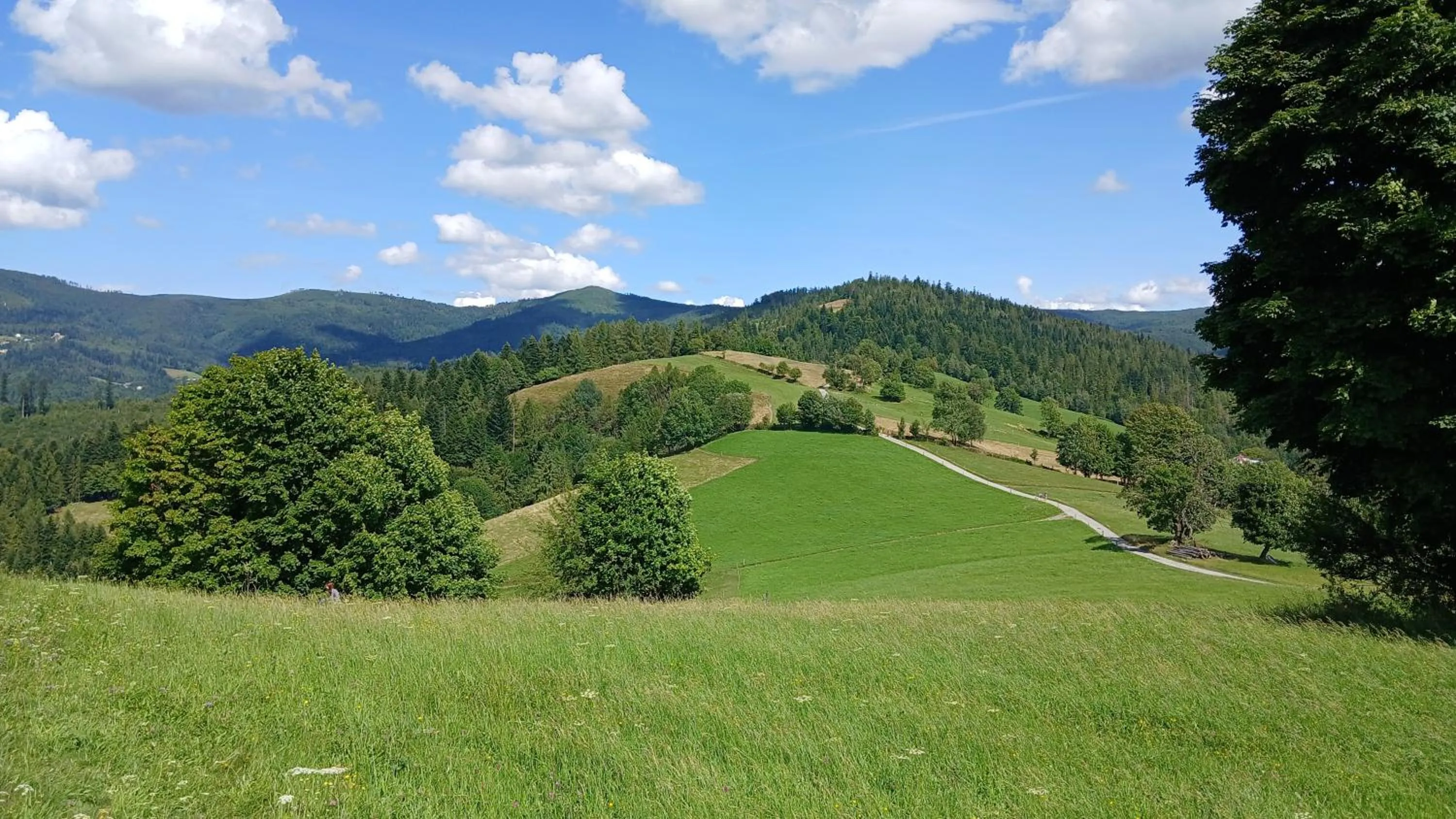 Nearby landmark in Willa Wisełka