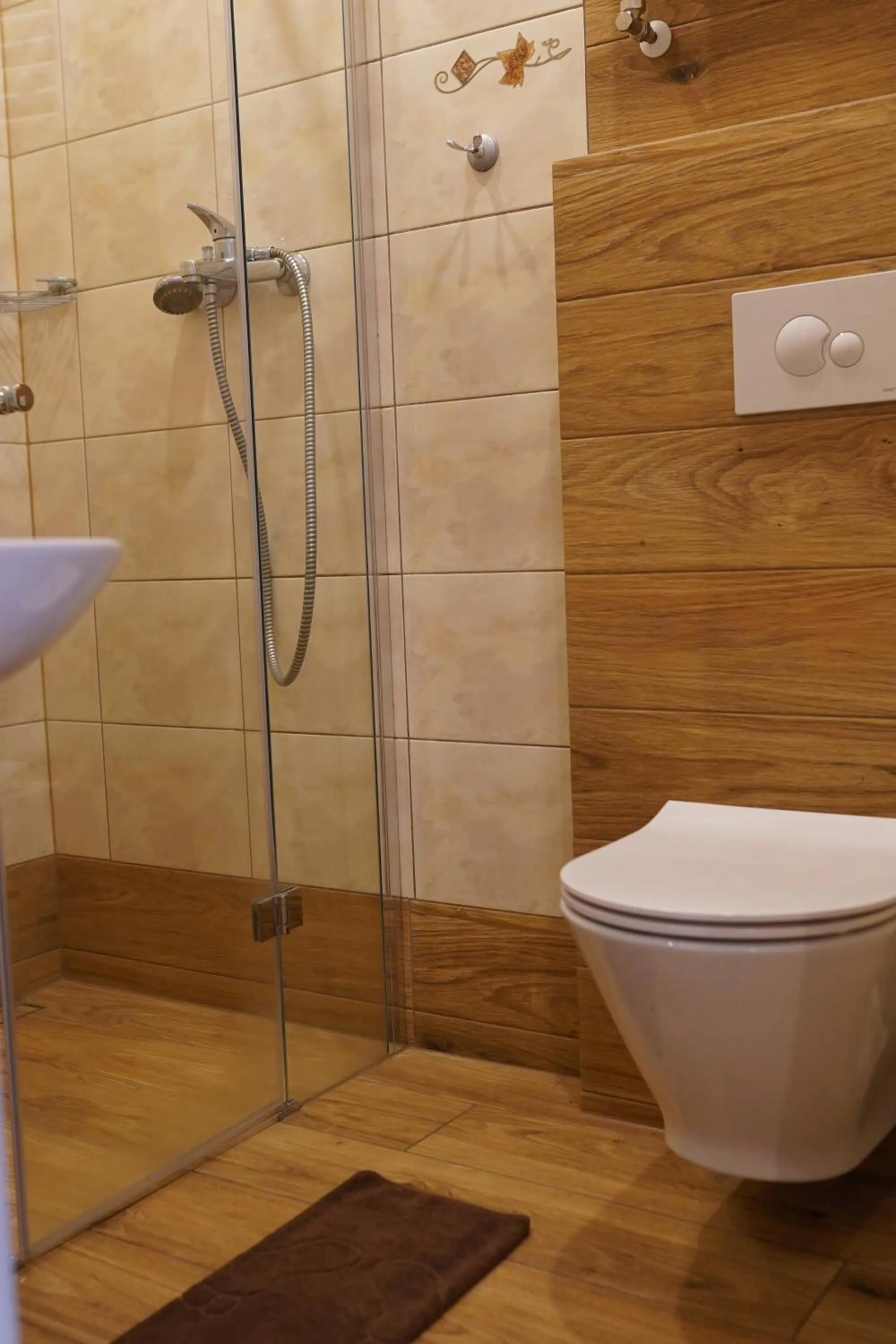 Shower in Willa Wisełka