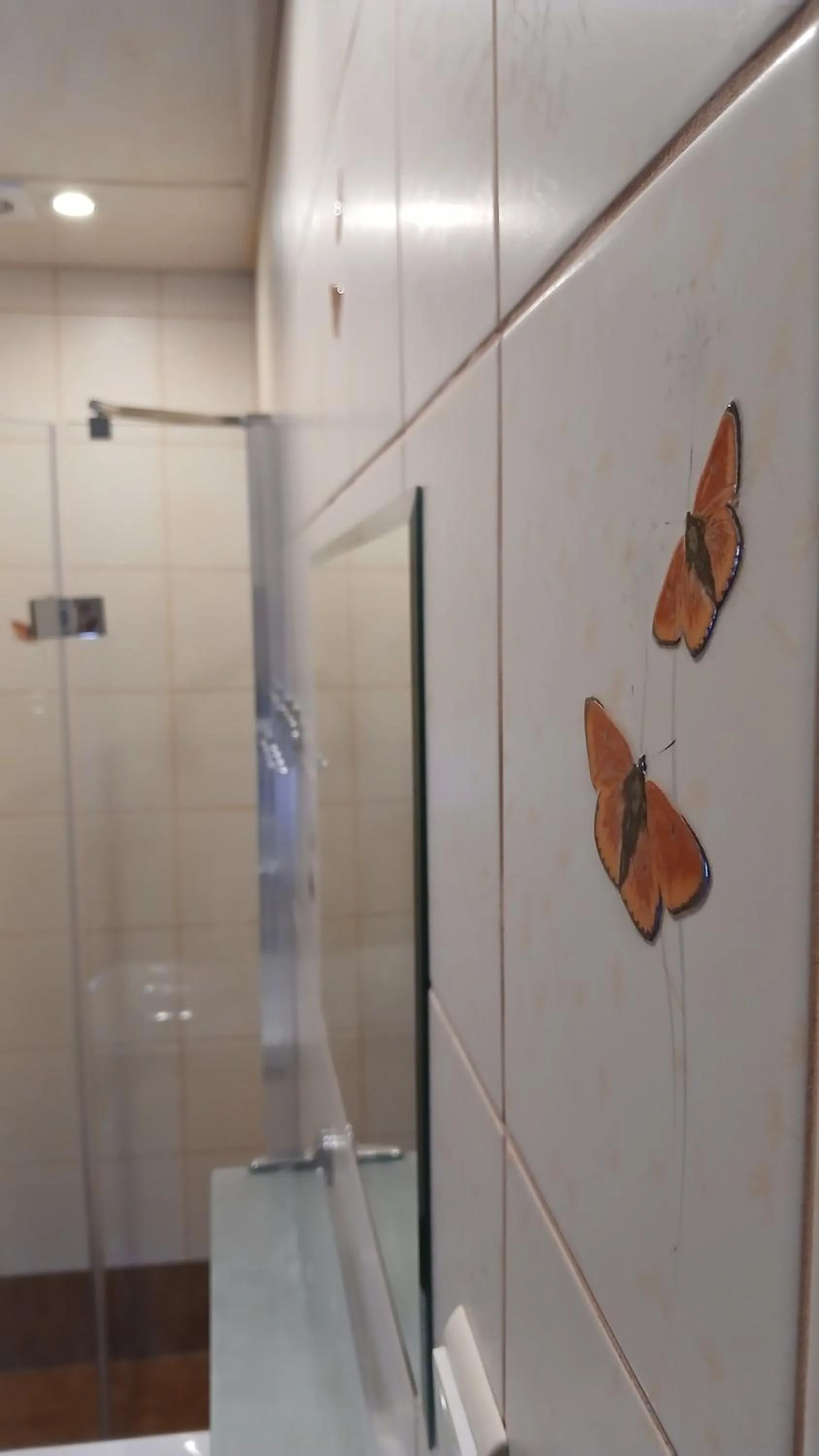 Shower in Willa Wisełka