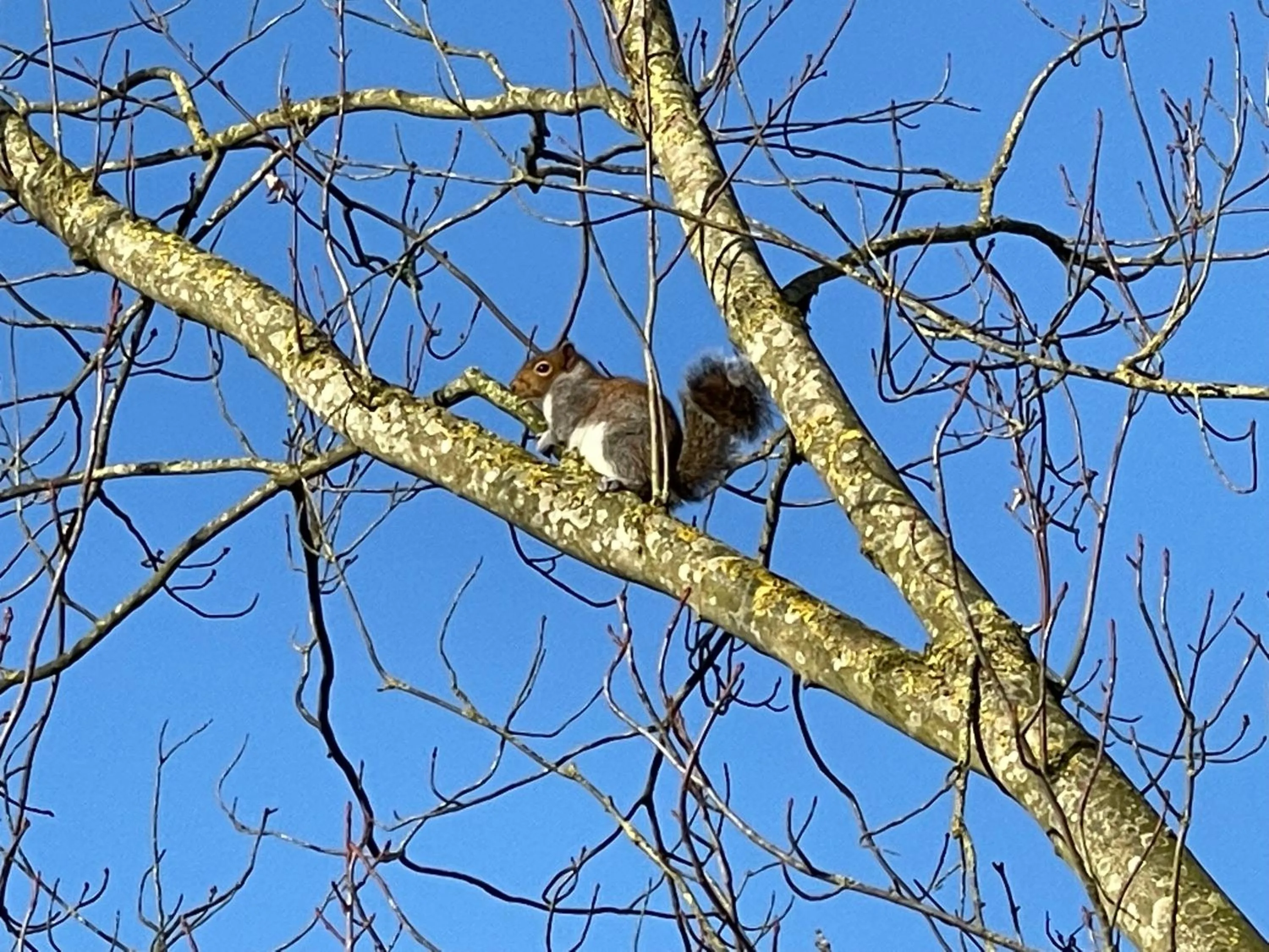 Day in Burton Lodge Guest House & Spa