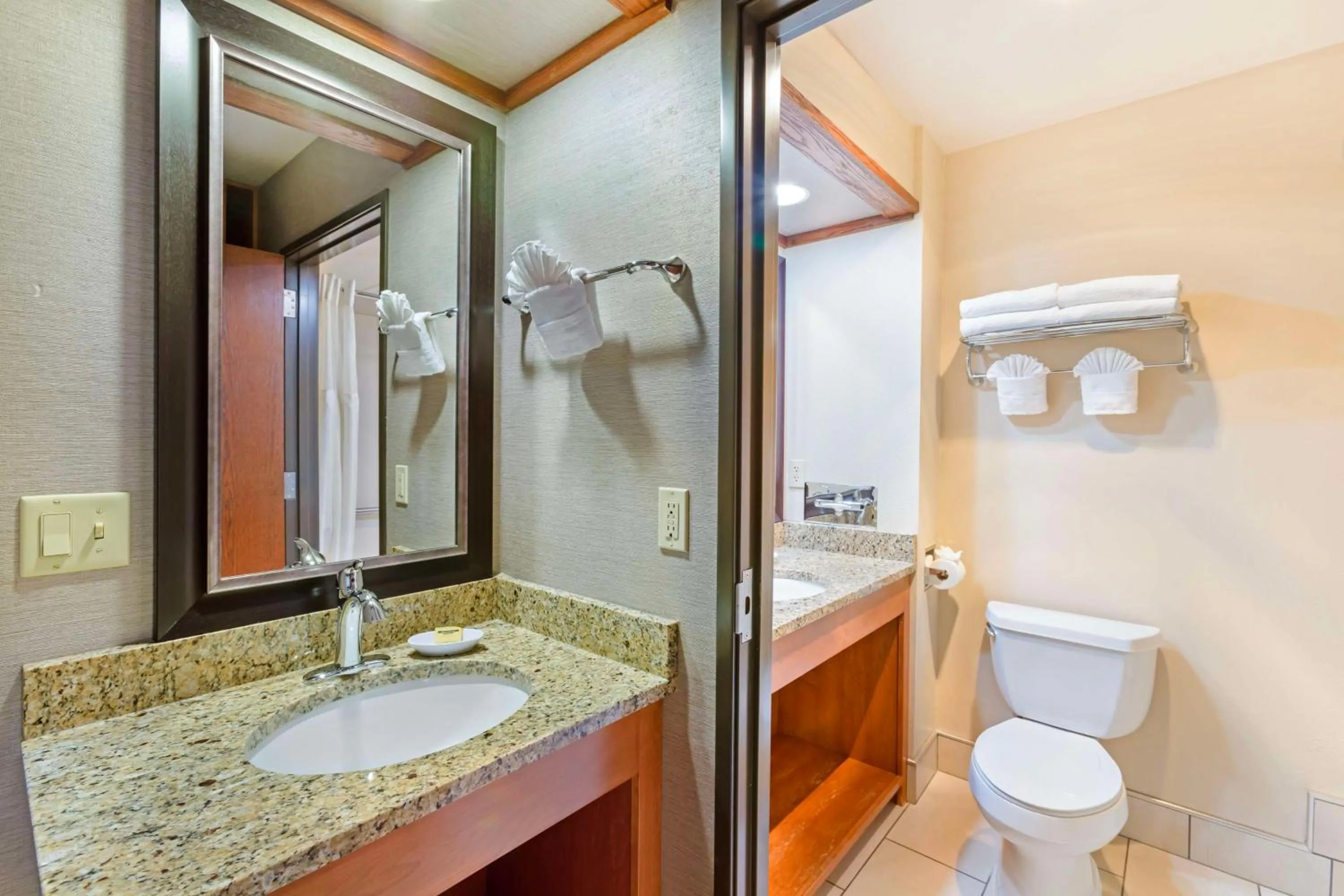 Bathroom in Best Western Plus GranTree Inn