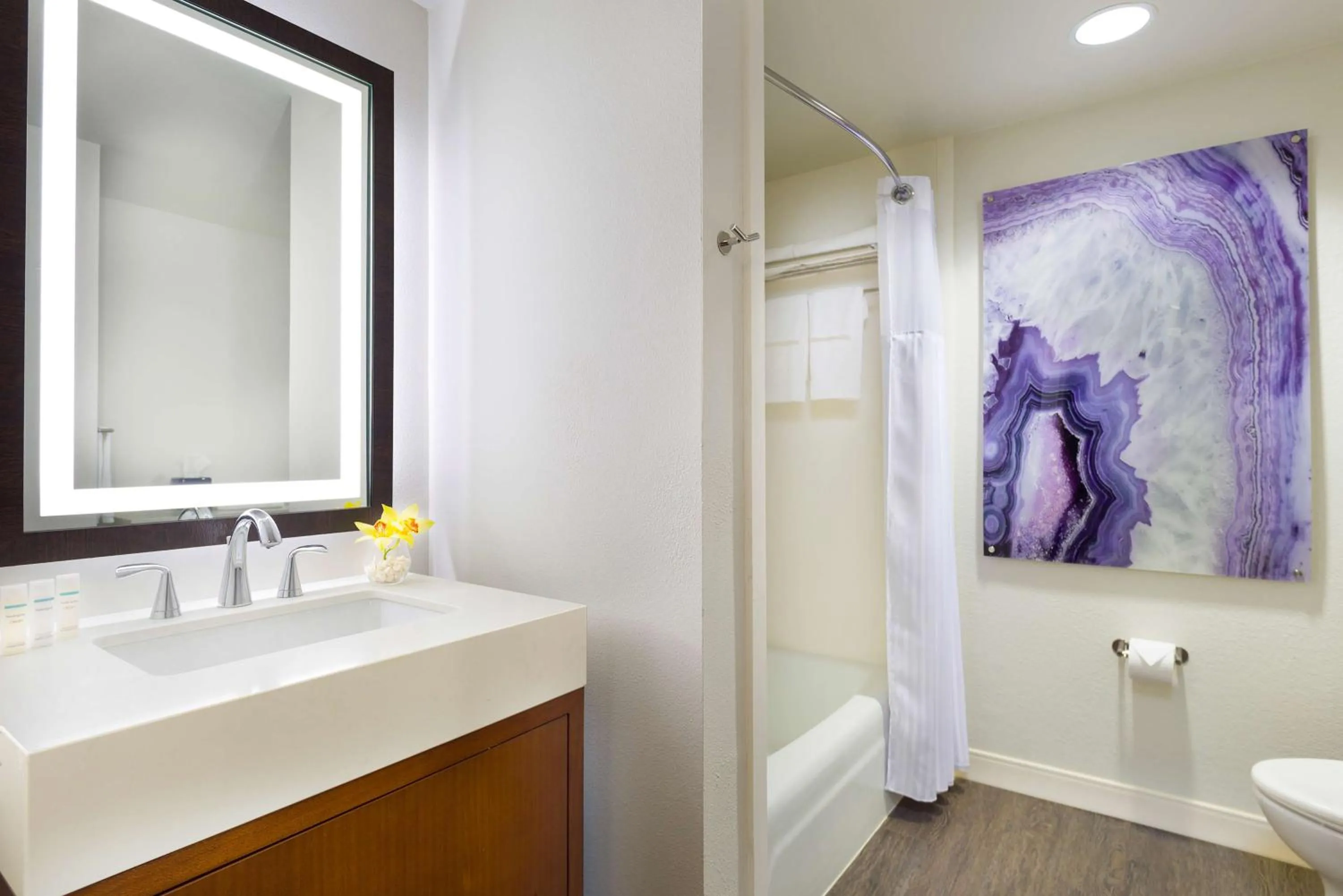 Bathroom in Hilton Garden Inn Kauai Wailua Bay, HI