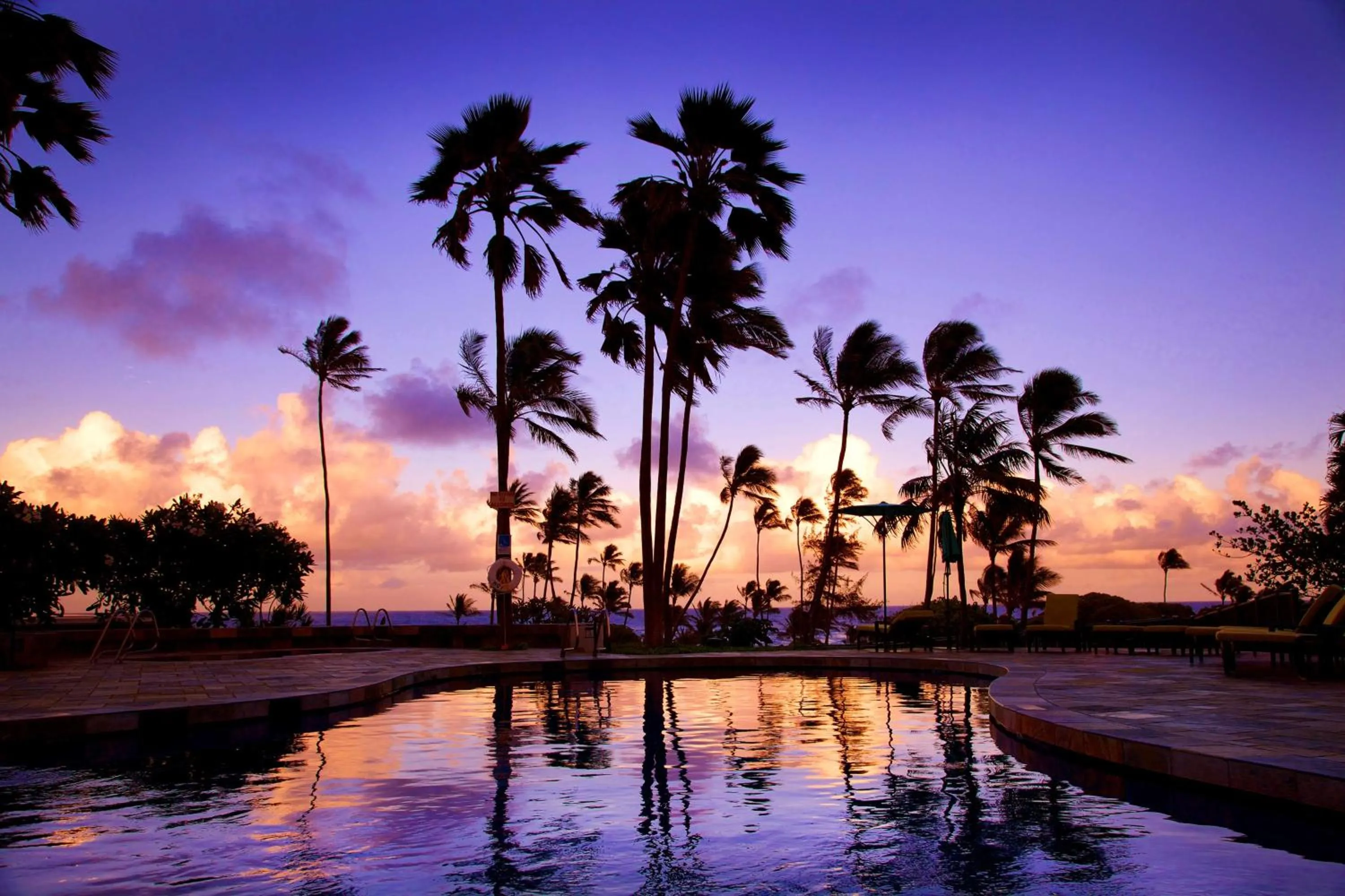 Pool view in Hilton Garden Inn Kauai Wailua Bay, HI