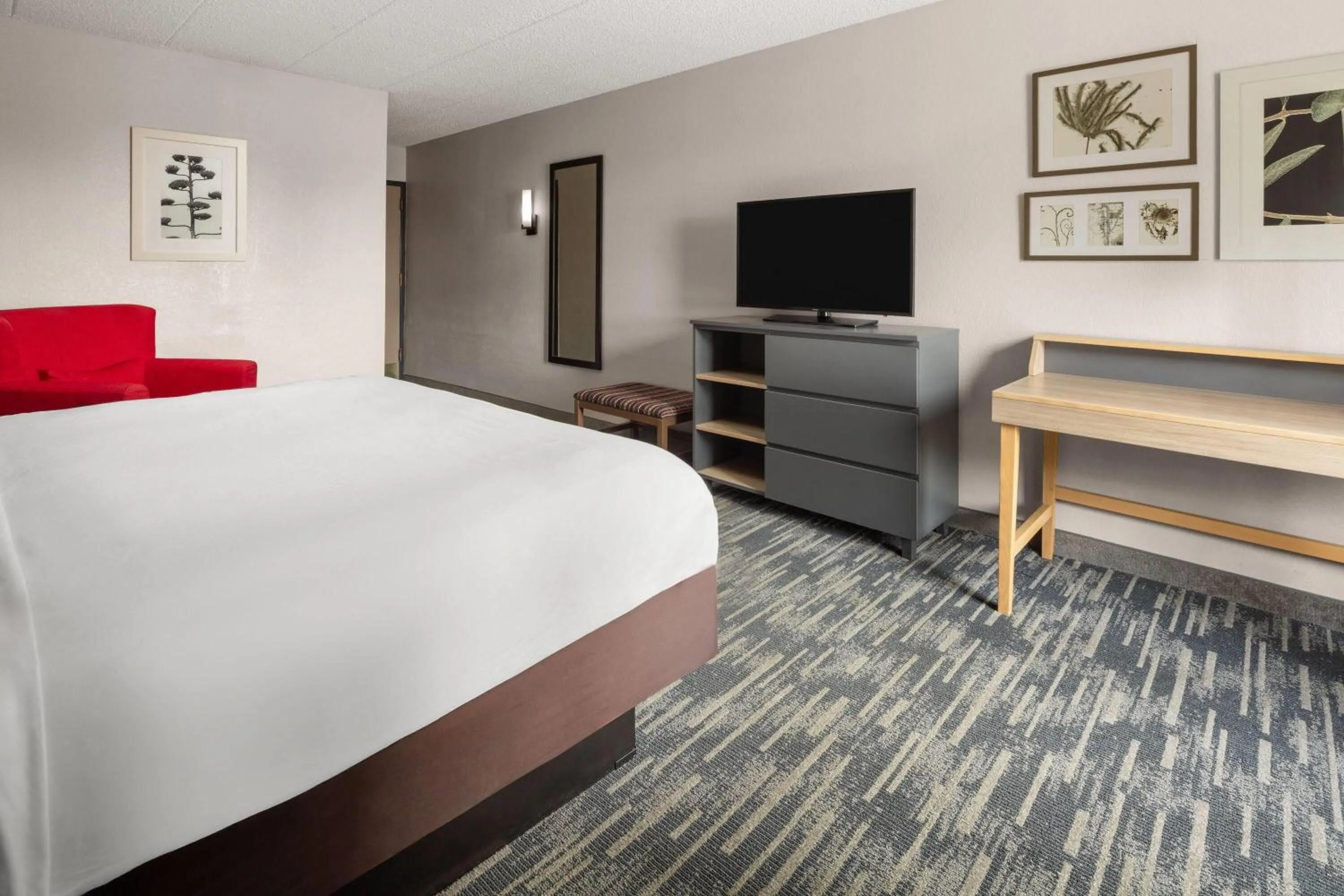 Photo of the whole room, Bed in Wingate by Wyndham Lincoln Airport East I-80
