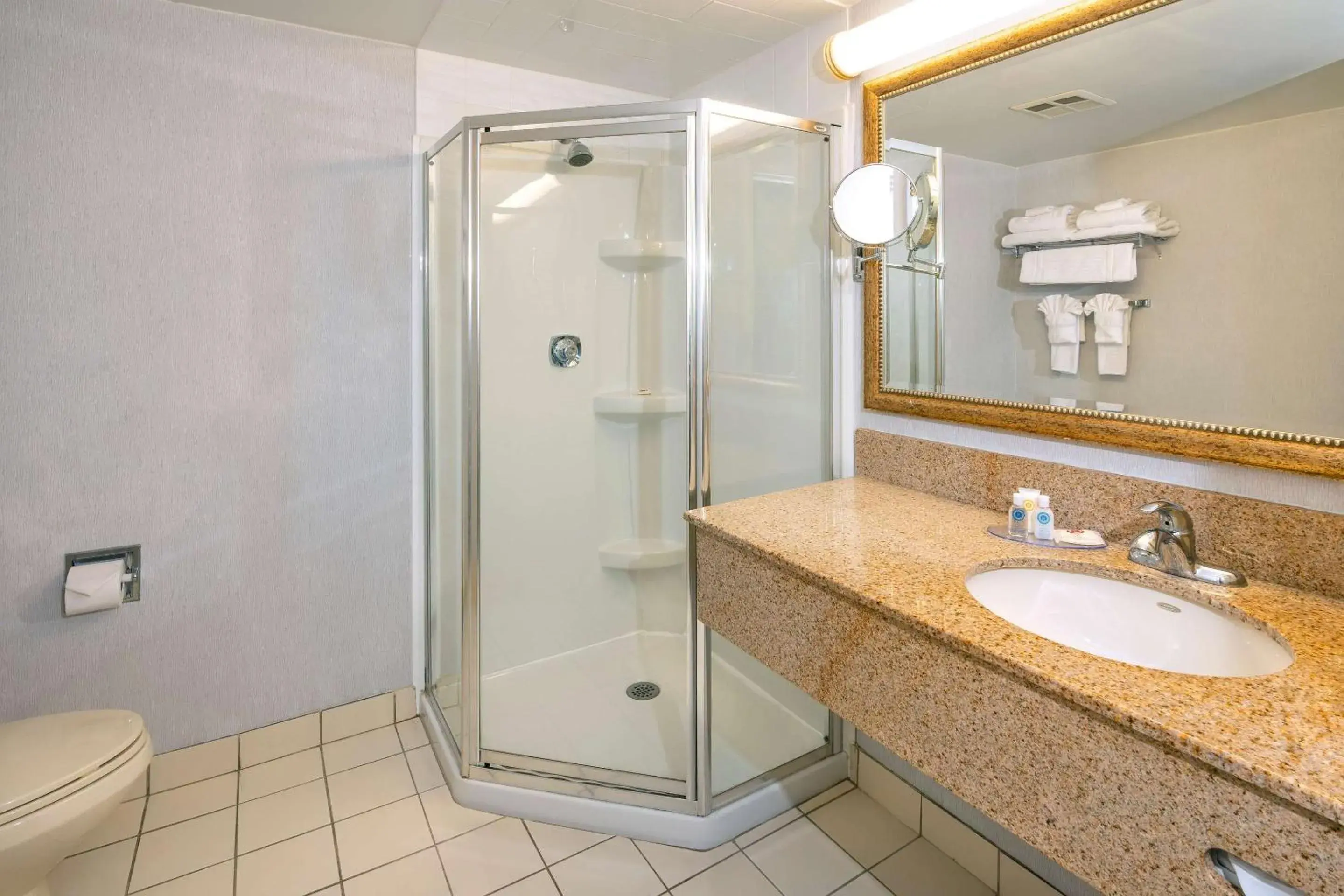 Bedroom in Comfort Hotel & Suites Bedroom in Comfort Hotel & Suites