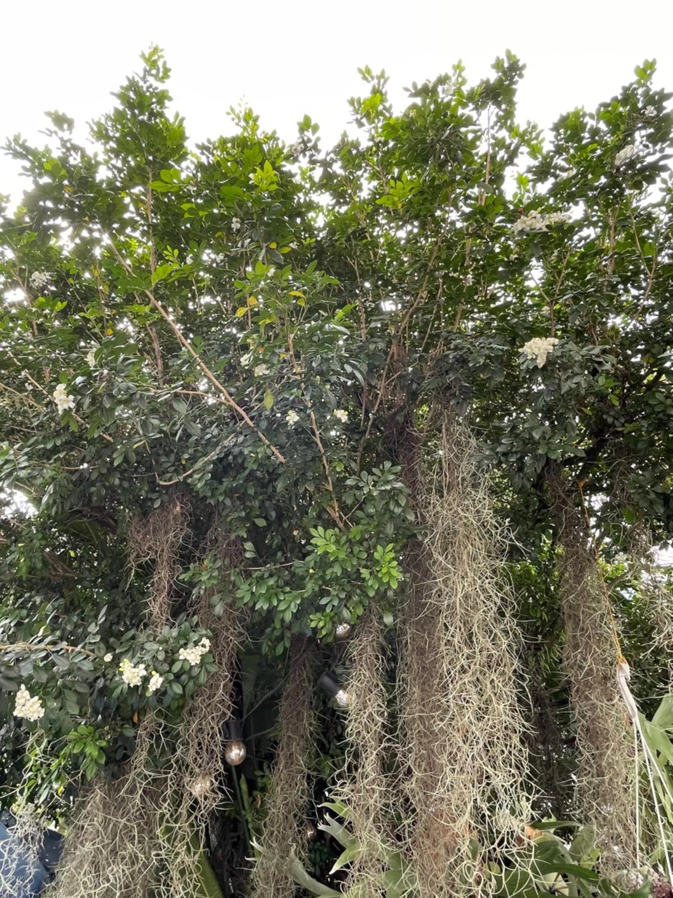 Casa Hotel Jardin Azul